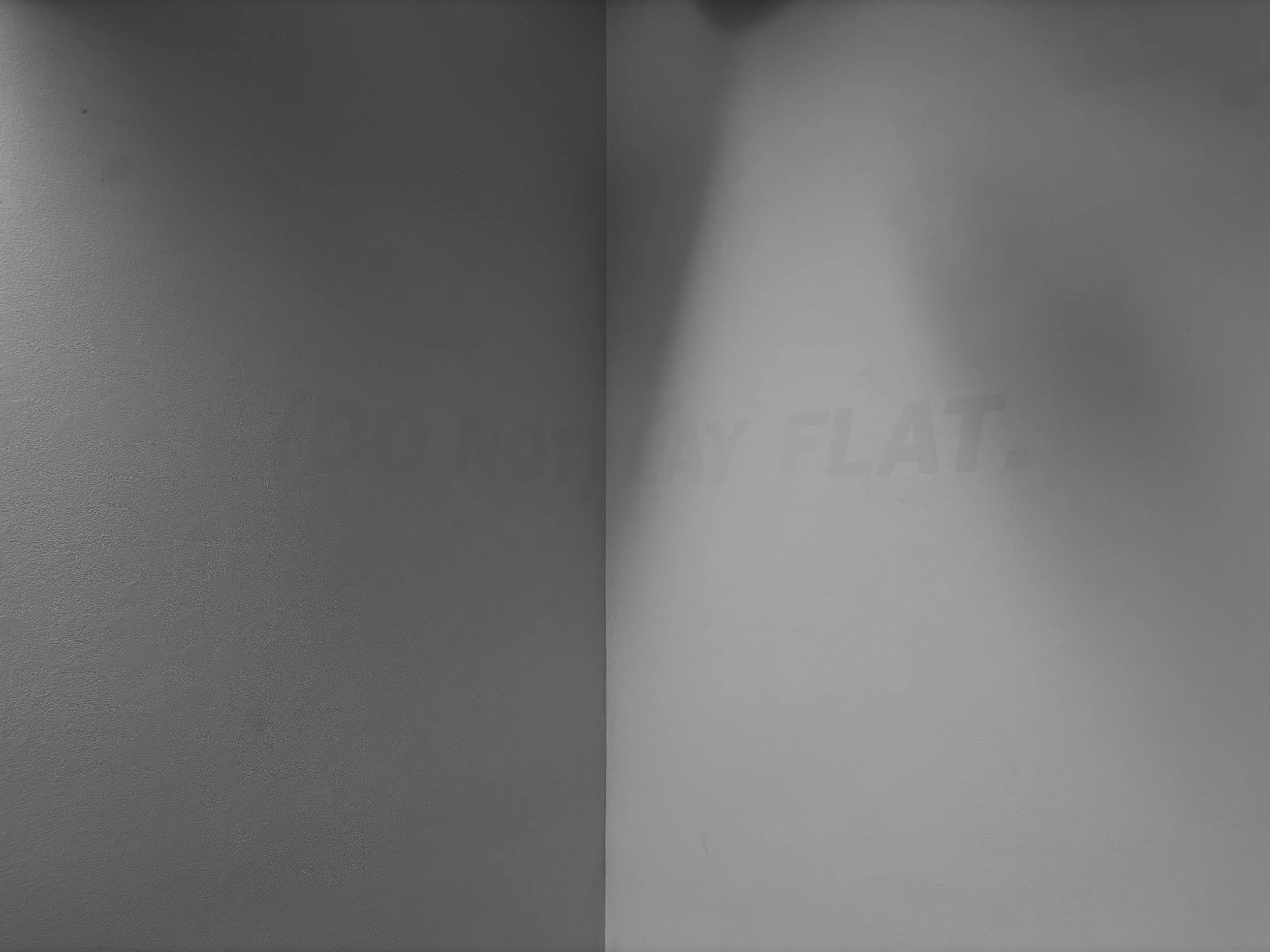4. (DO NOT) LAY FLAY.JPG