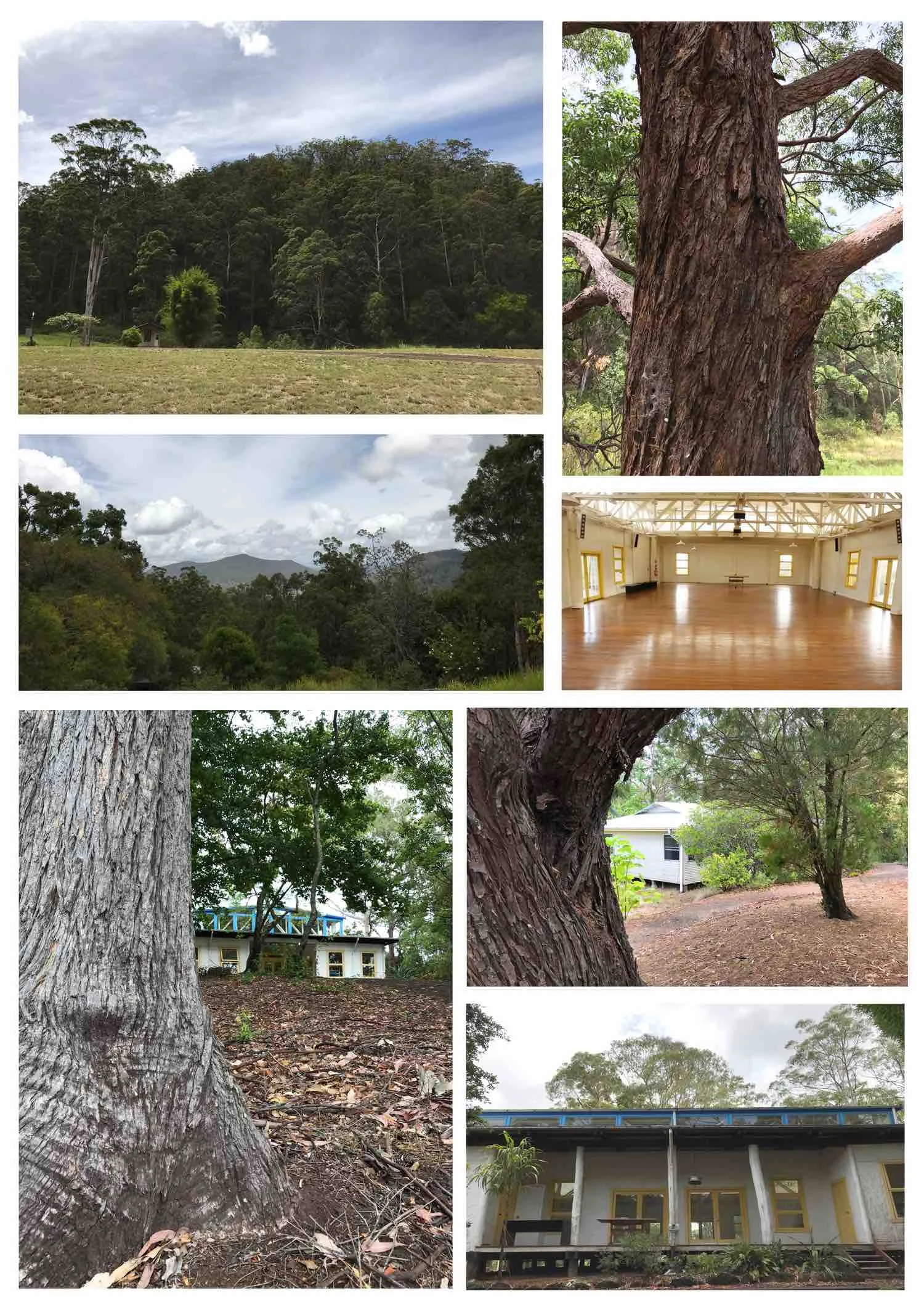 Arcoora_Gonpa_Gounds_2.jpg