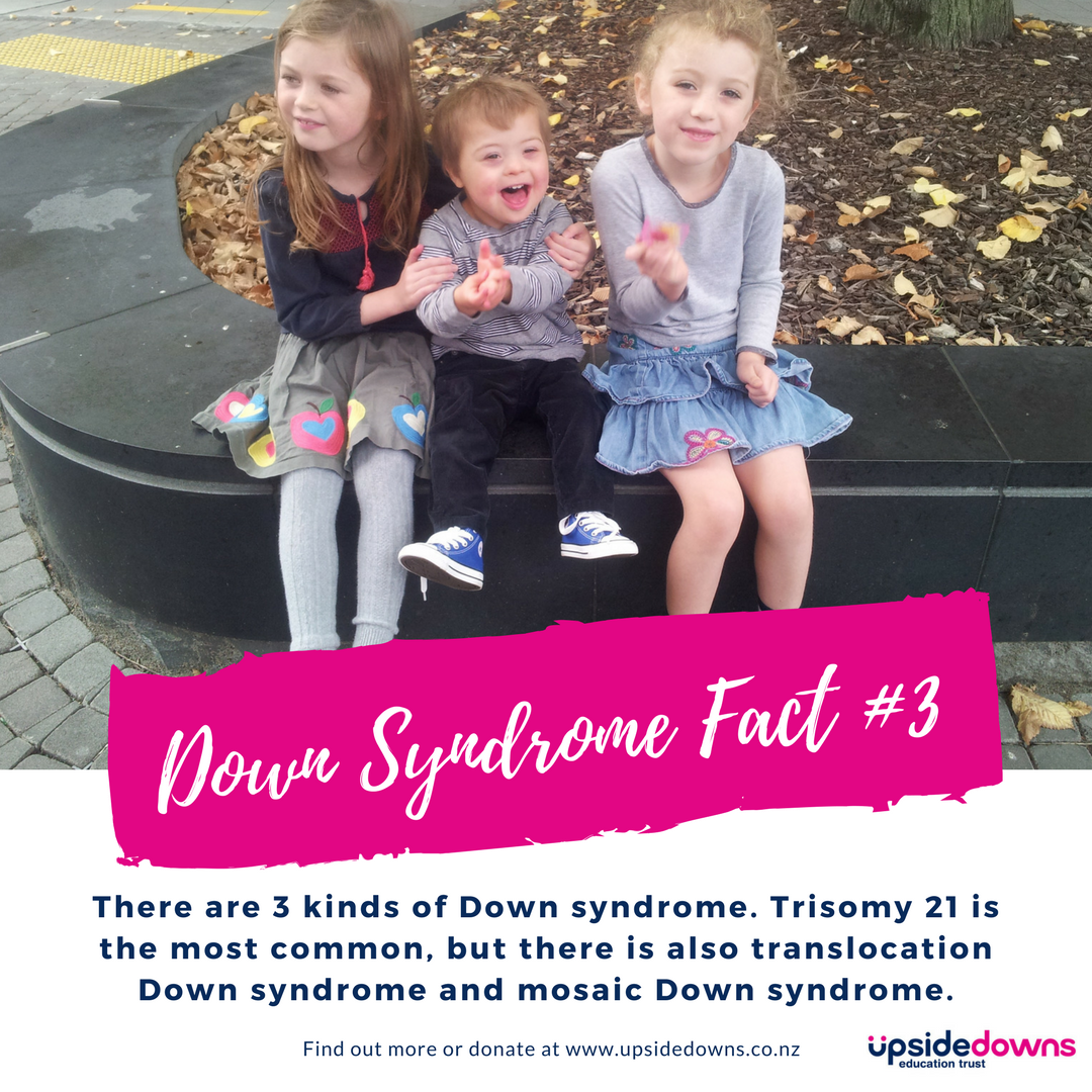 About Down Syndrome UpsideDowns