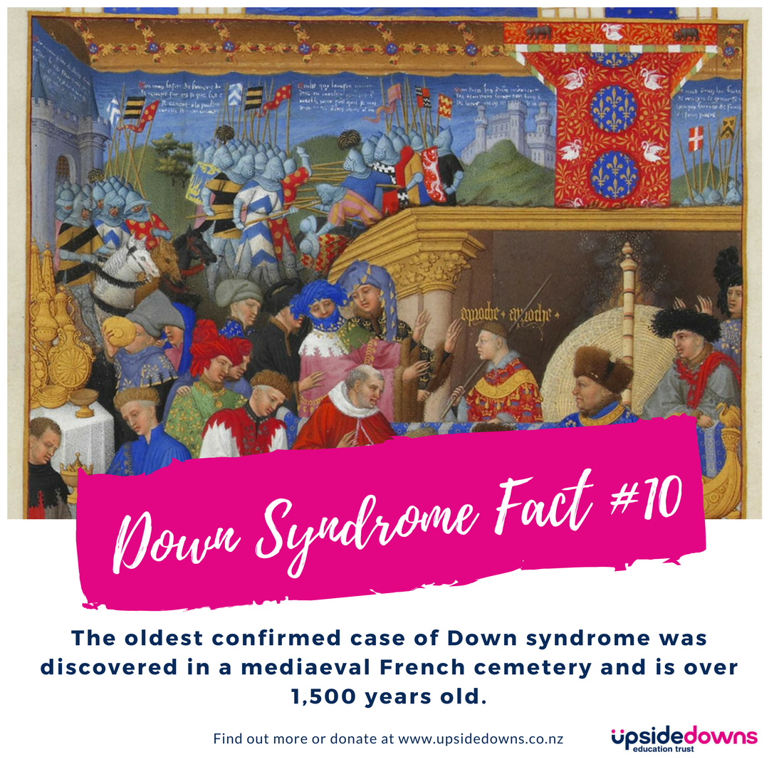 DS fact 10.png