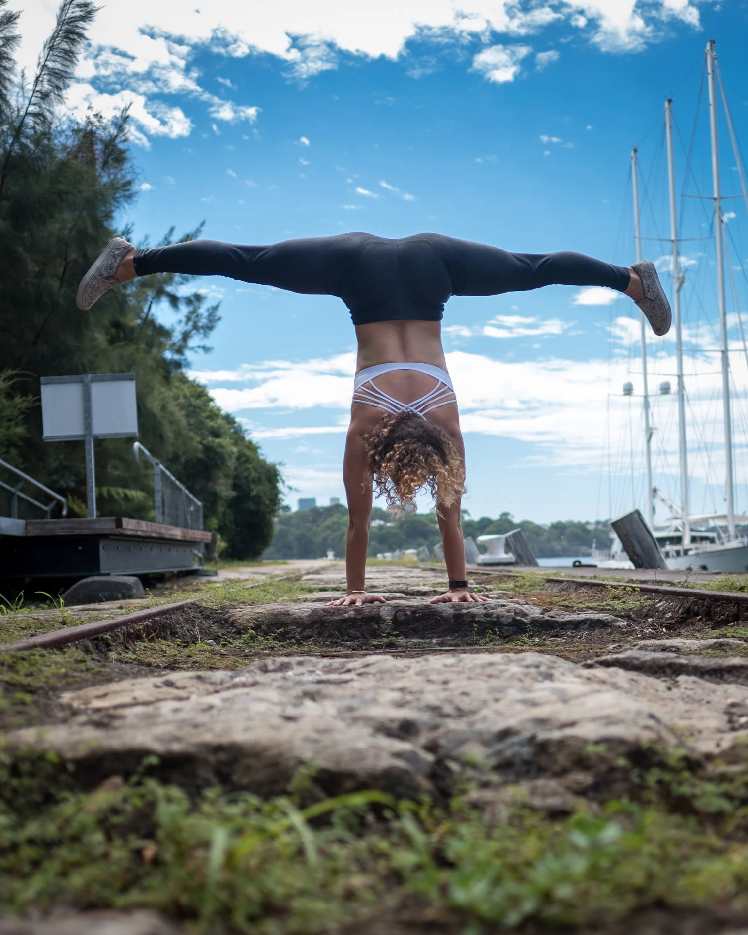Adho Mukha Vrksasana