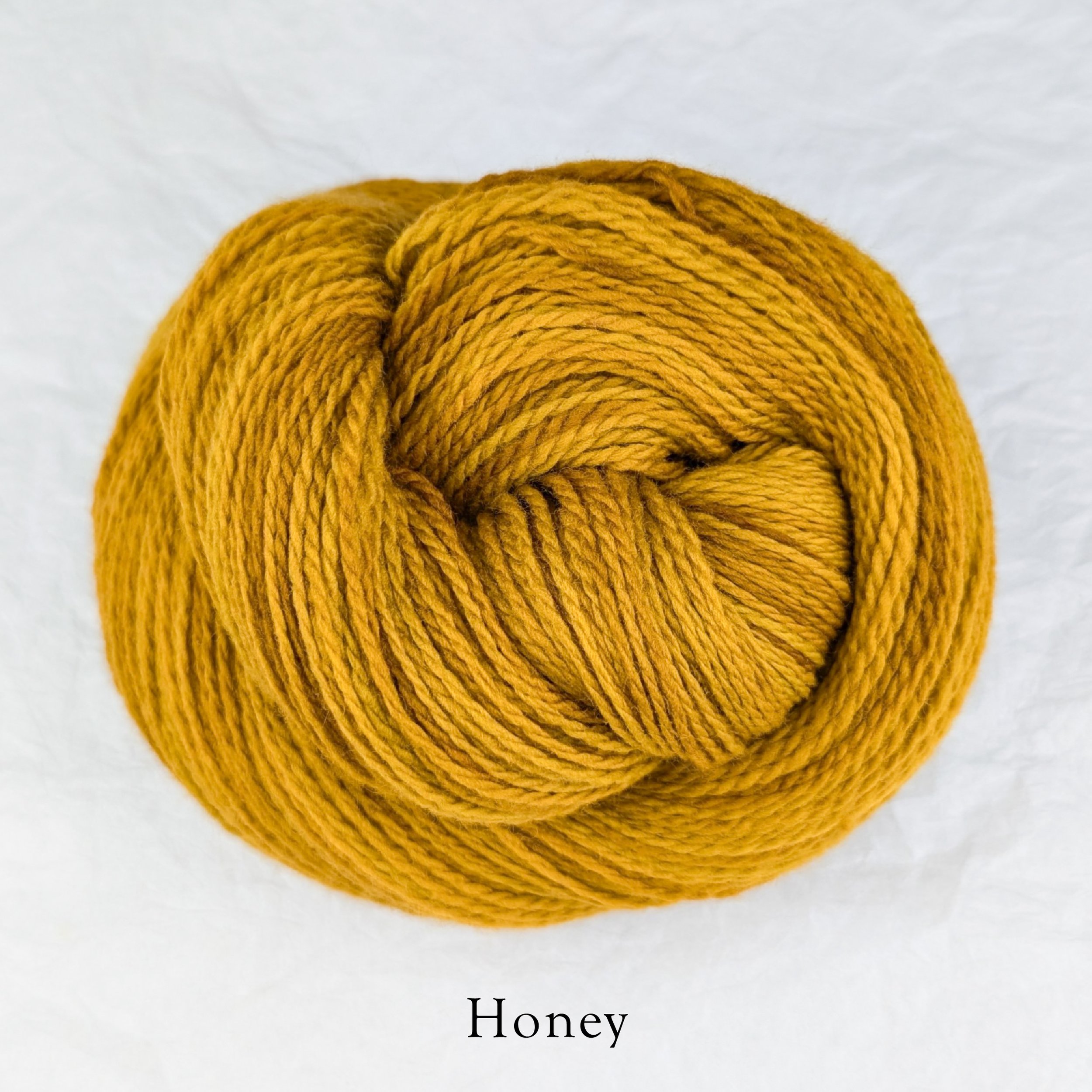 Rambouillet Drip - Honey.jpg