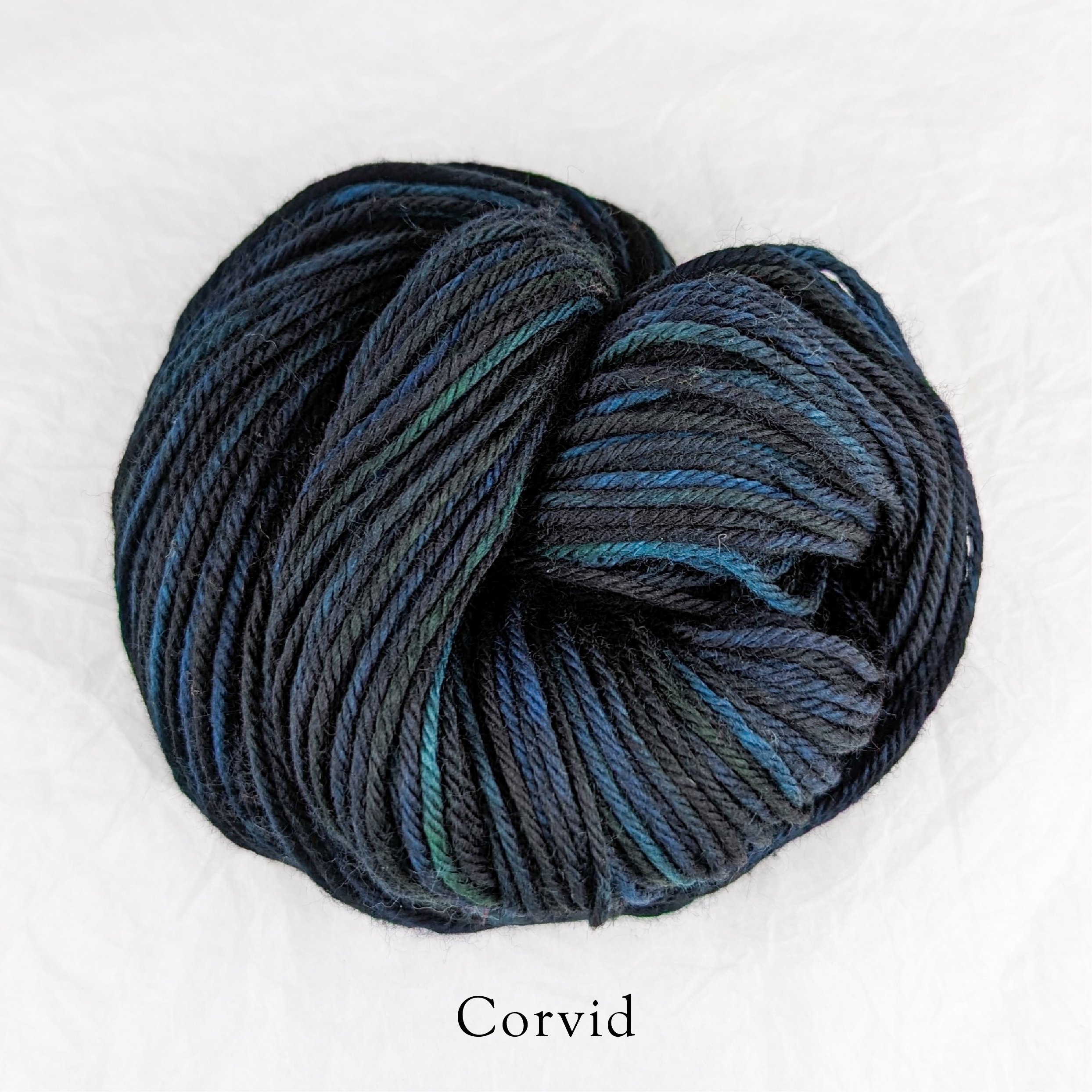 Merino Torrent - Corvid.jpg