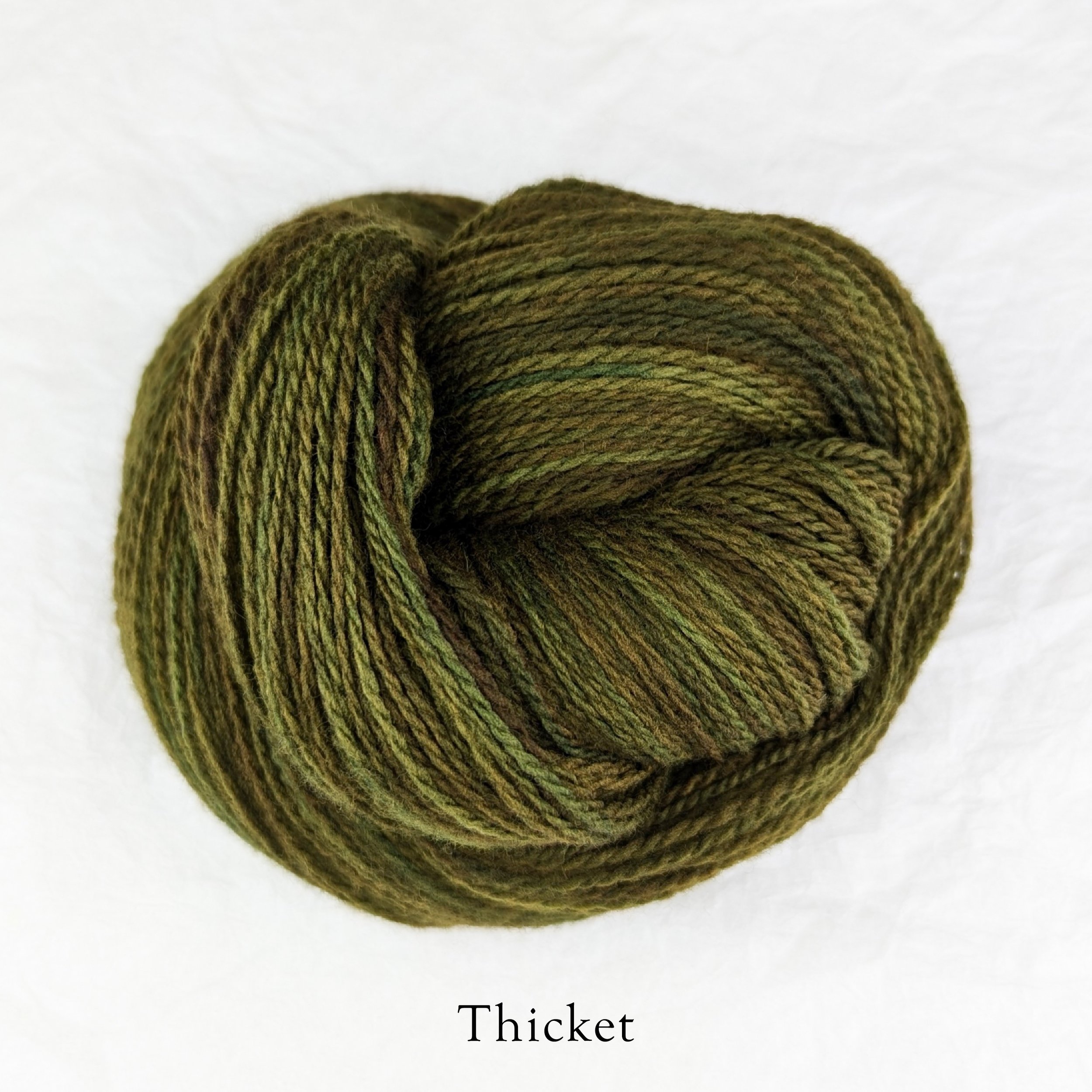 Rambouillet Drip - Thicket.jpg