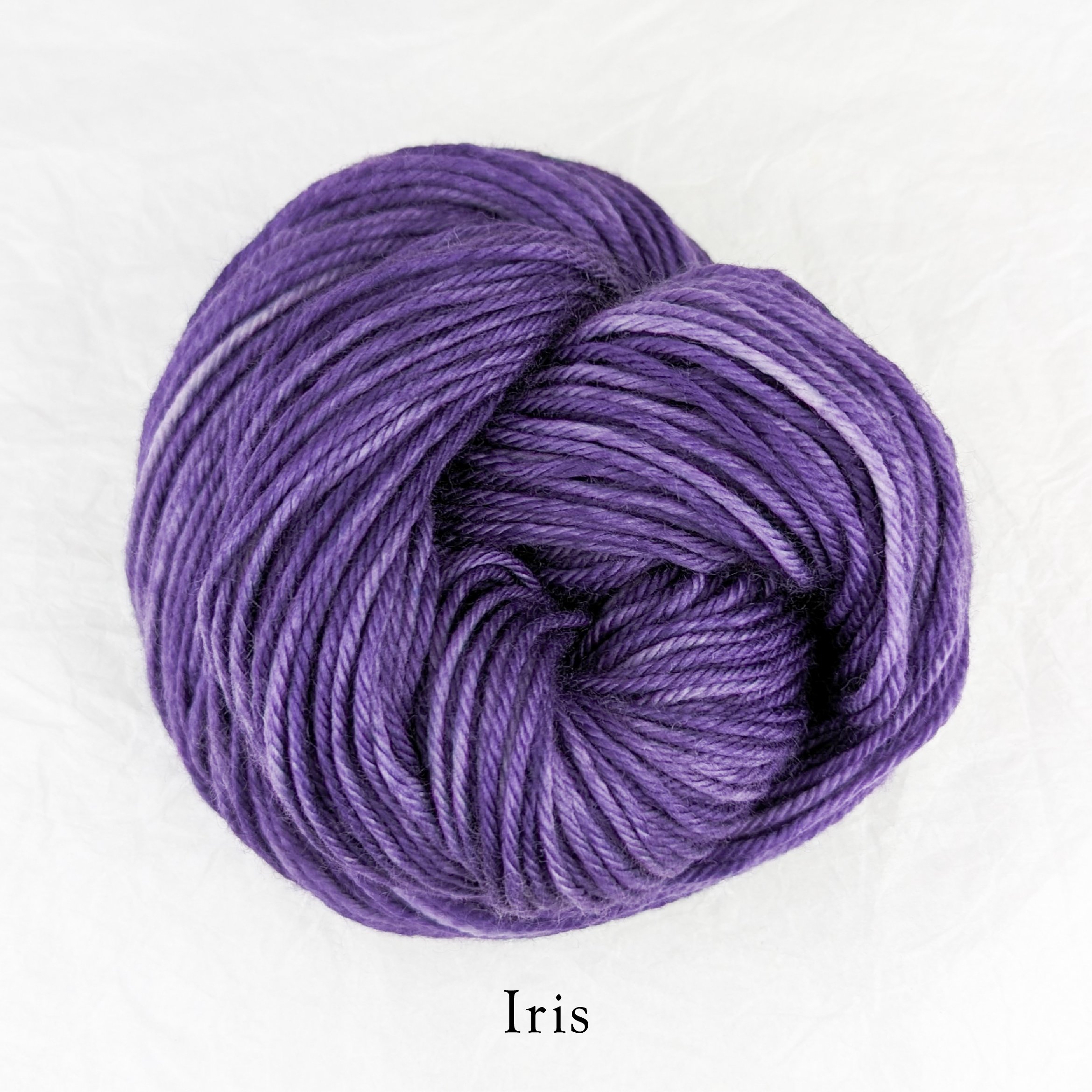 Merino Torrent - Iris.jpg