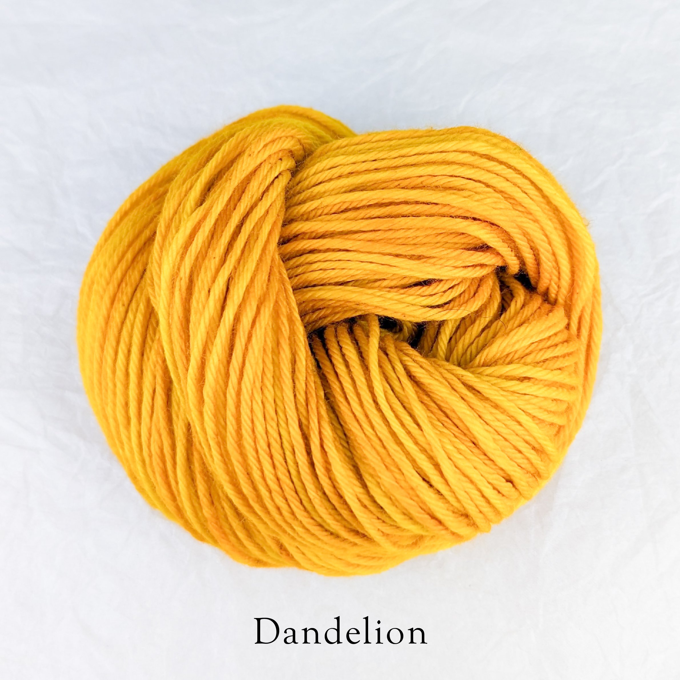 Merino Torrent - Dandelion.jpg
