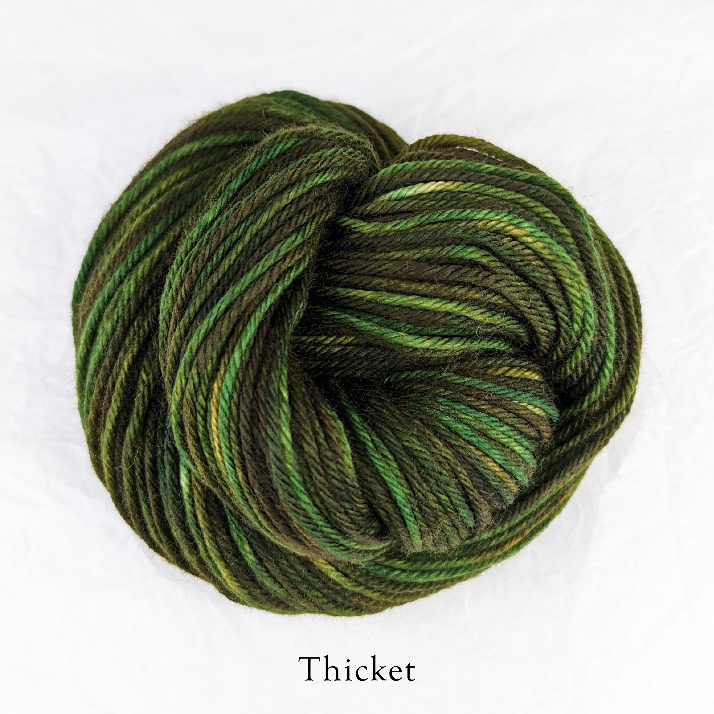 Merino Torrent - Thicket.jpg