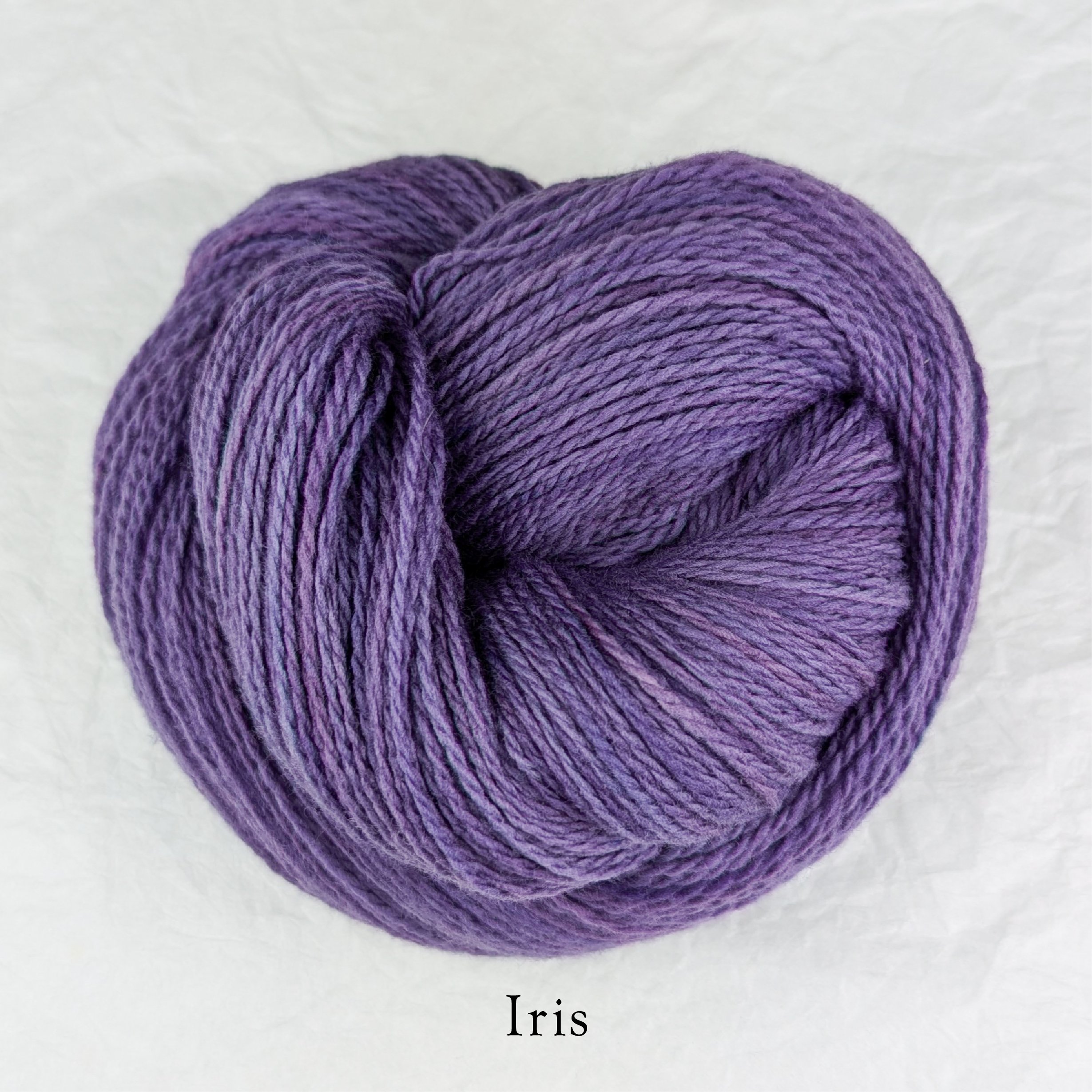 Rambouillet Drip - Iris.jpg