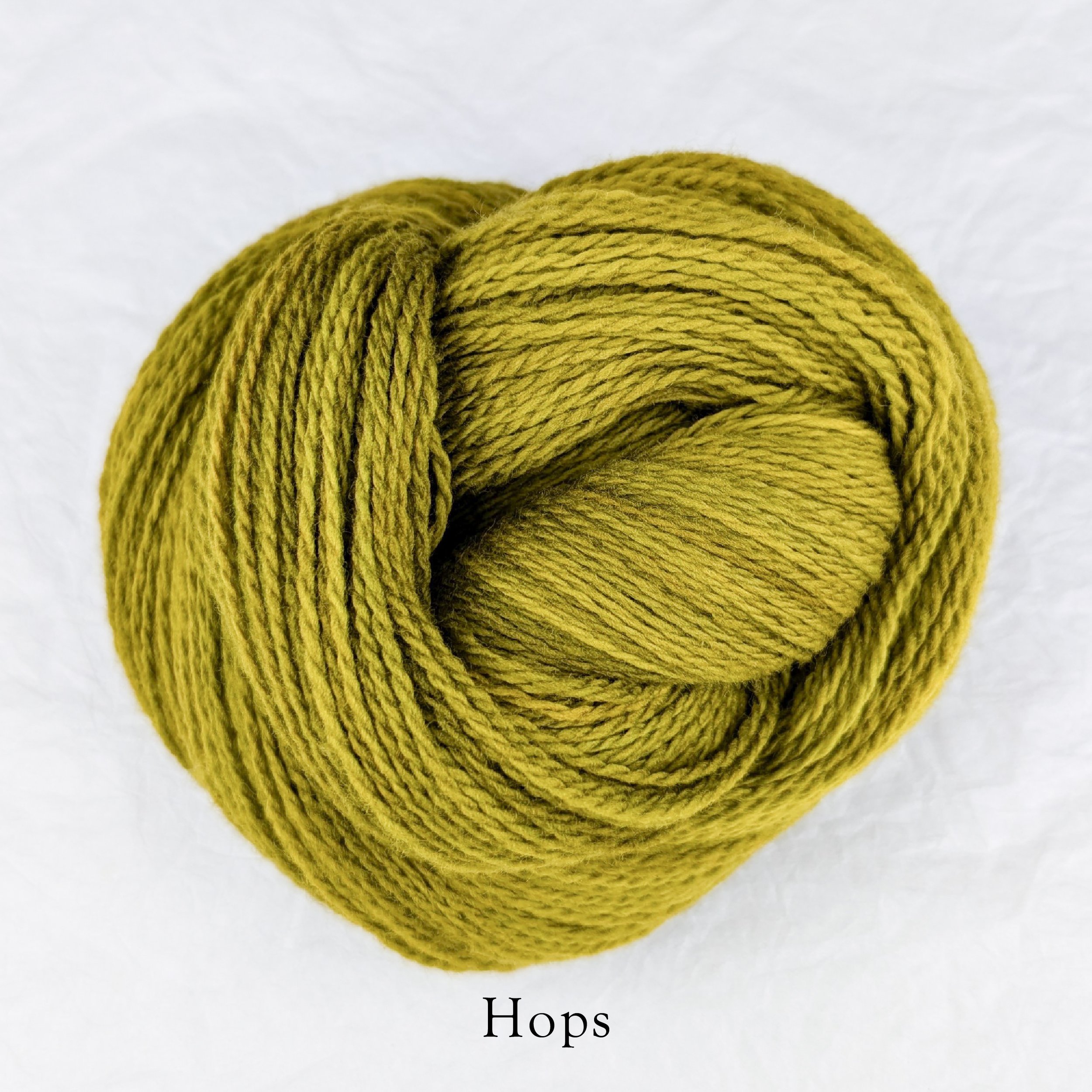 Rambouillet Drip - Hops.jpg