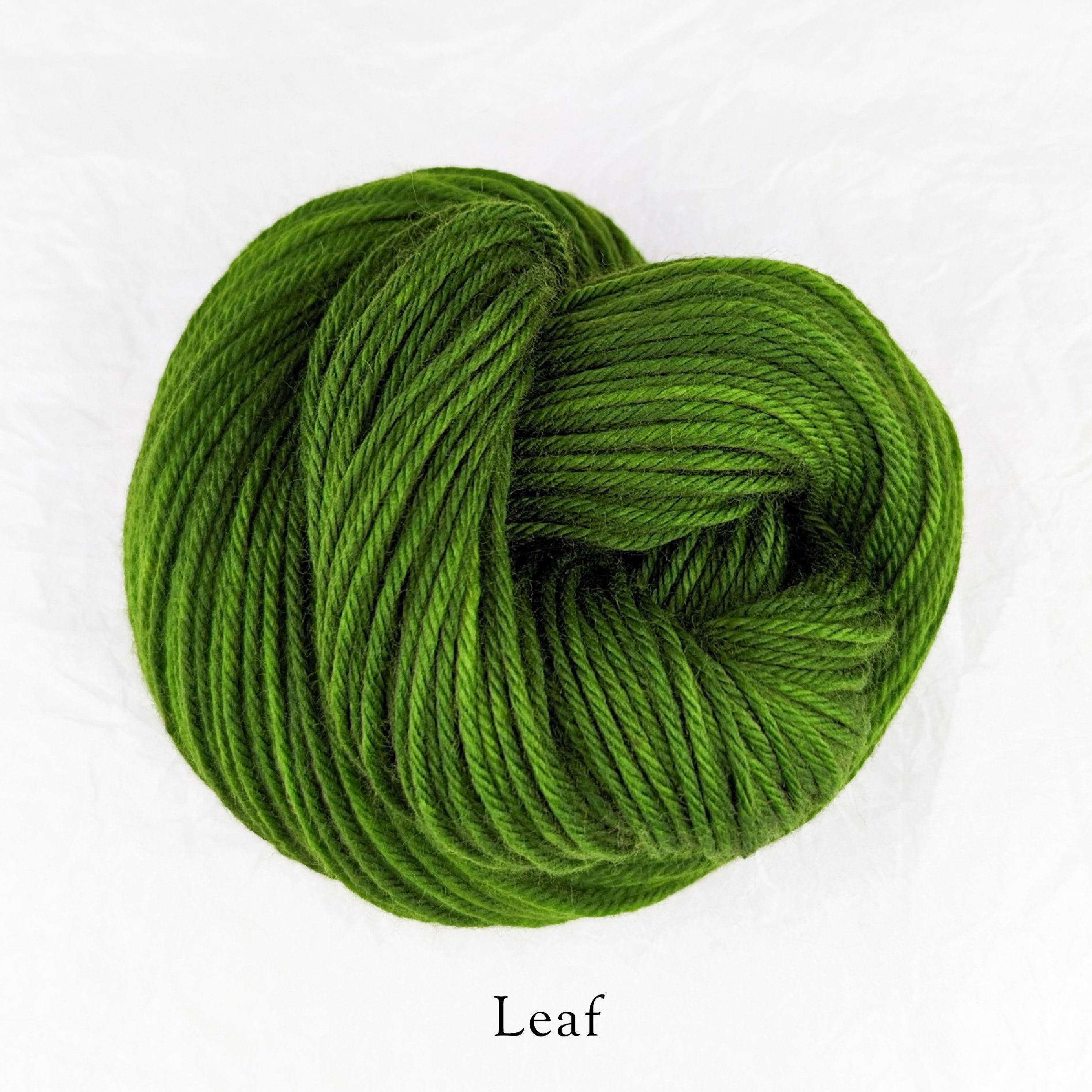 Merino Torrent - Leaf.jpg