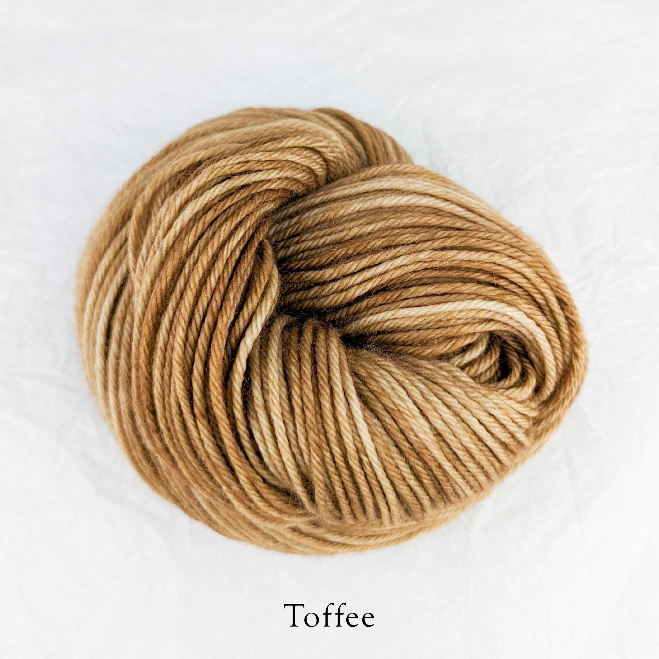 Merino Torrent - Toffee.jpg