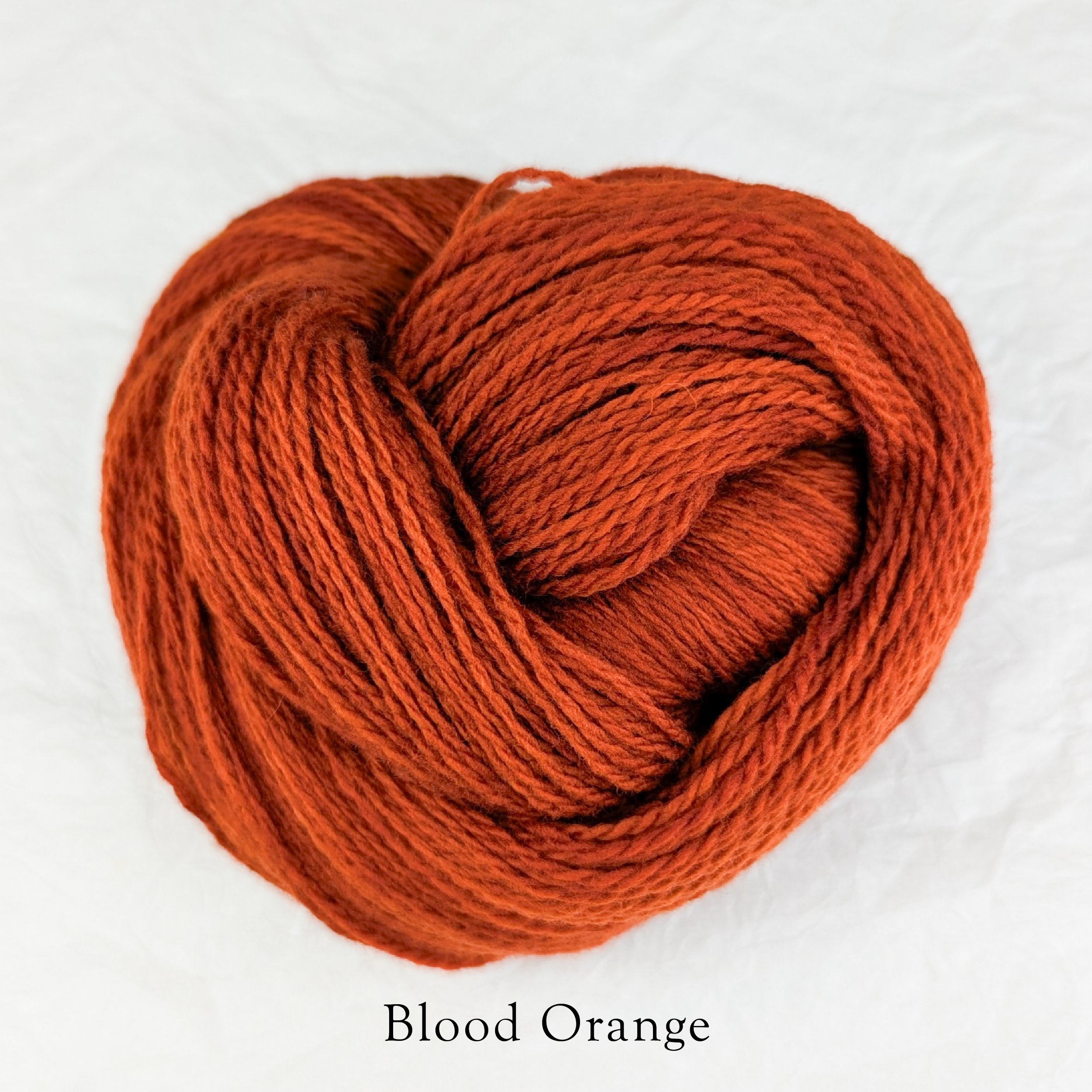 Rambouillet Drip - Blood Orange.jpg