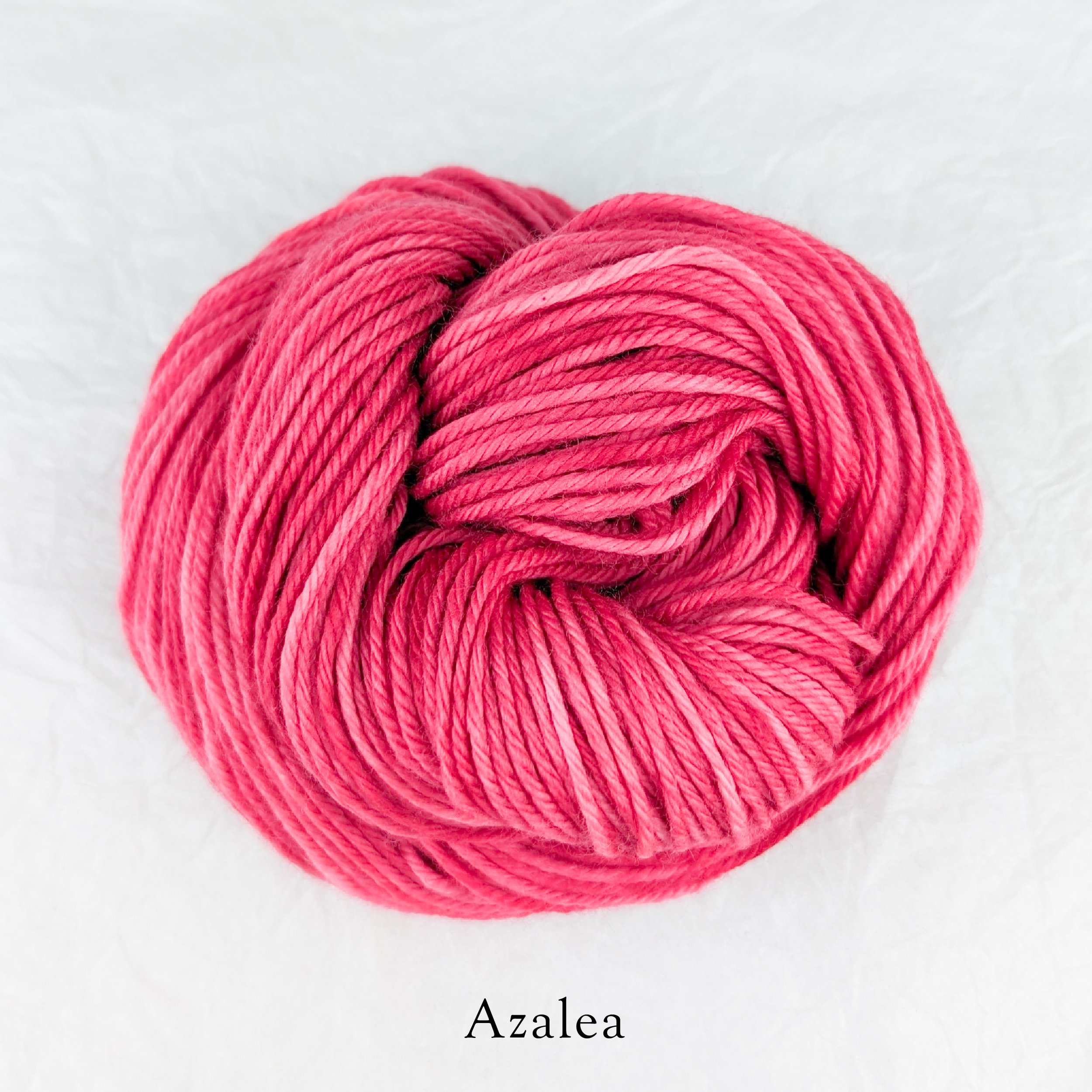 Merino Torrent - Azalea.jpg