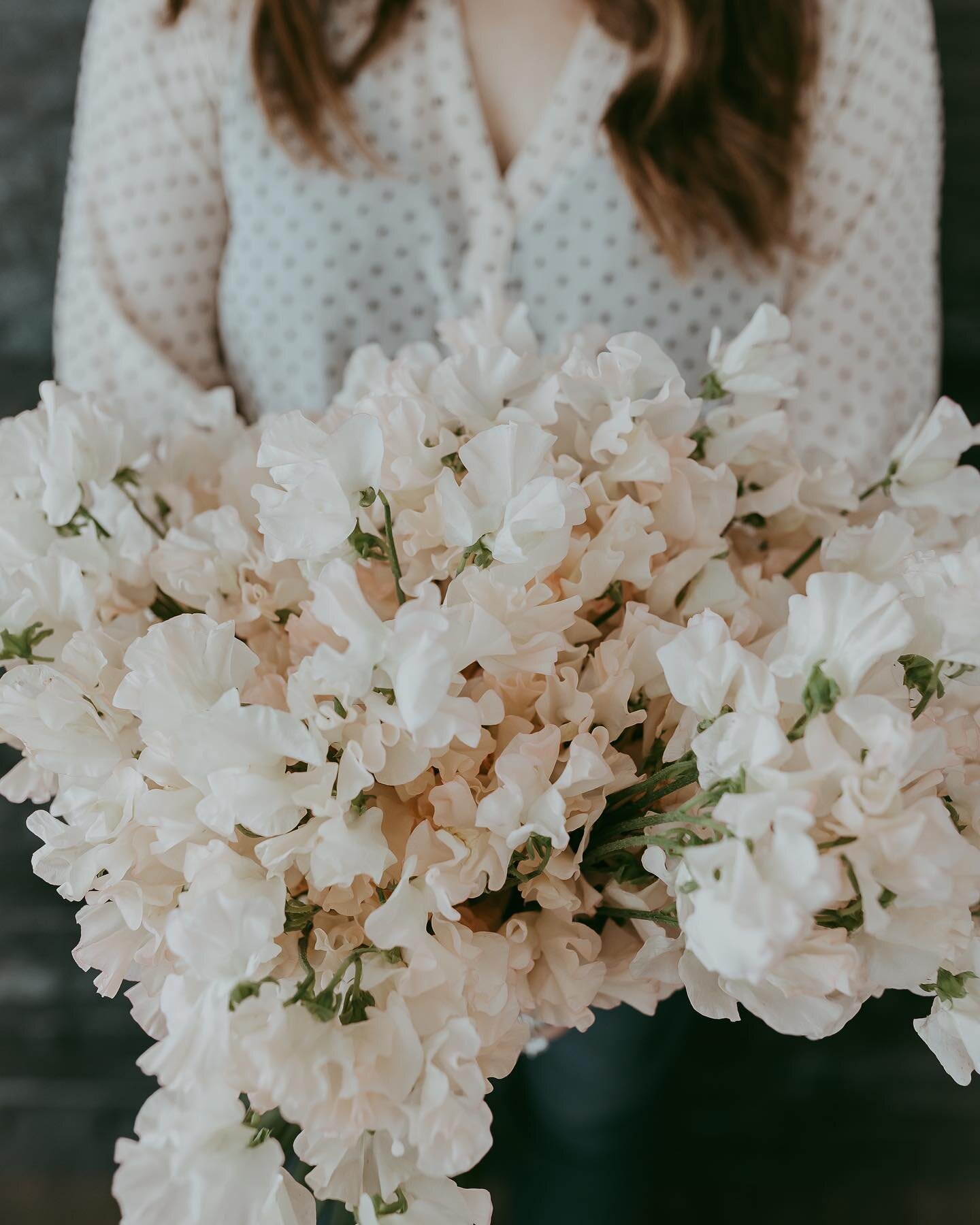 It&rsquo;s starting to feel like spring around here, can you feel it? Who else loves a good sweetpea moment? Thanks for always sending me the best blooms @sarahgirard5 and @steamertrunkfashionboutique for keeping my wardrobe fresh! Photo by @graceupo