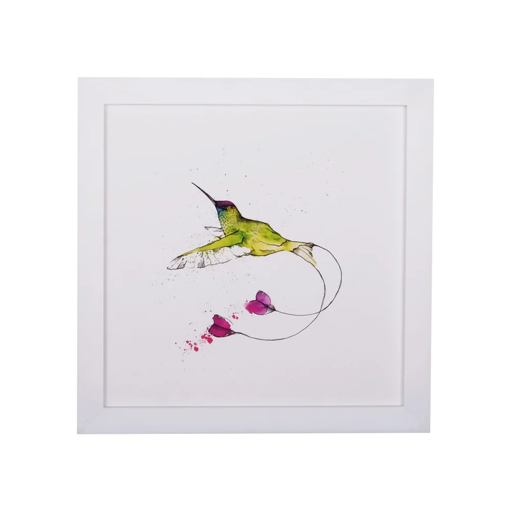 Illustrations Petit Kolibri