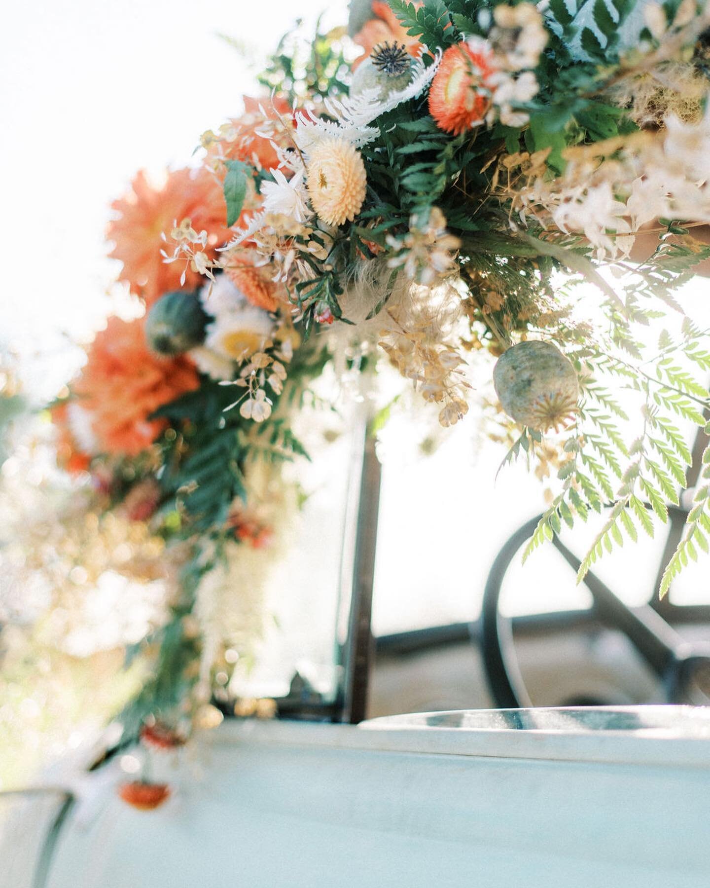 A few gorgeous sneak peaks from the most recent True to Hue: Olive shootout!
WE CAN&rsquo;T GET ENOUGH!
.
The creative director of Bront&euml; Bride puts on a series of workshops and shootouts within Alberta called True to Hue and they are just unbel