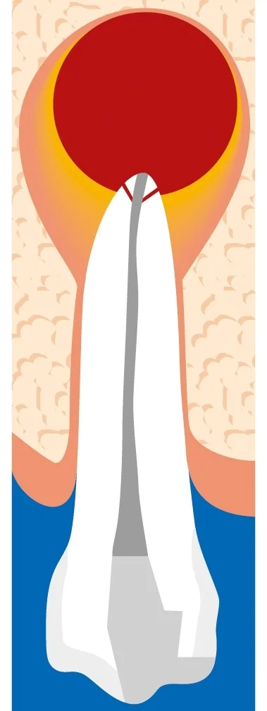 54.jpg