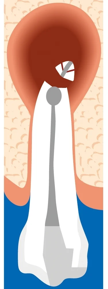 56.jpg
