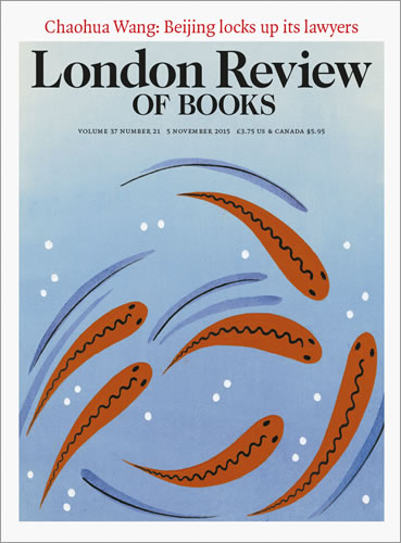 London Review of Books - Along the Divide
