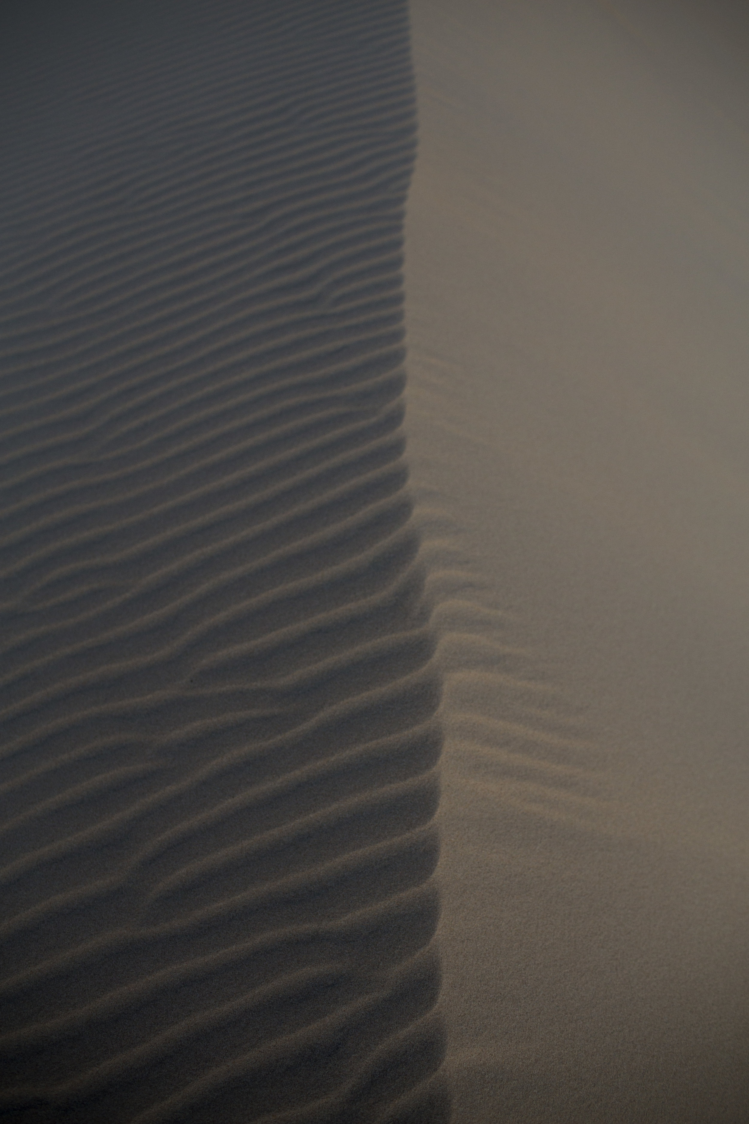 sand dunes 1.jpg