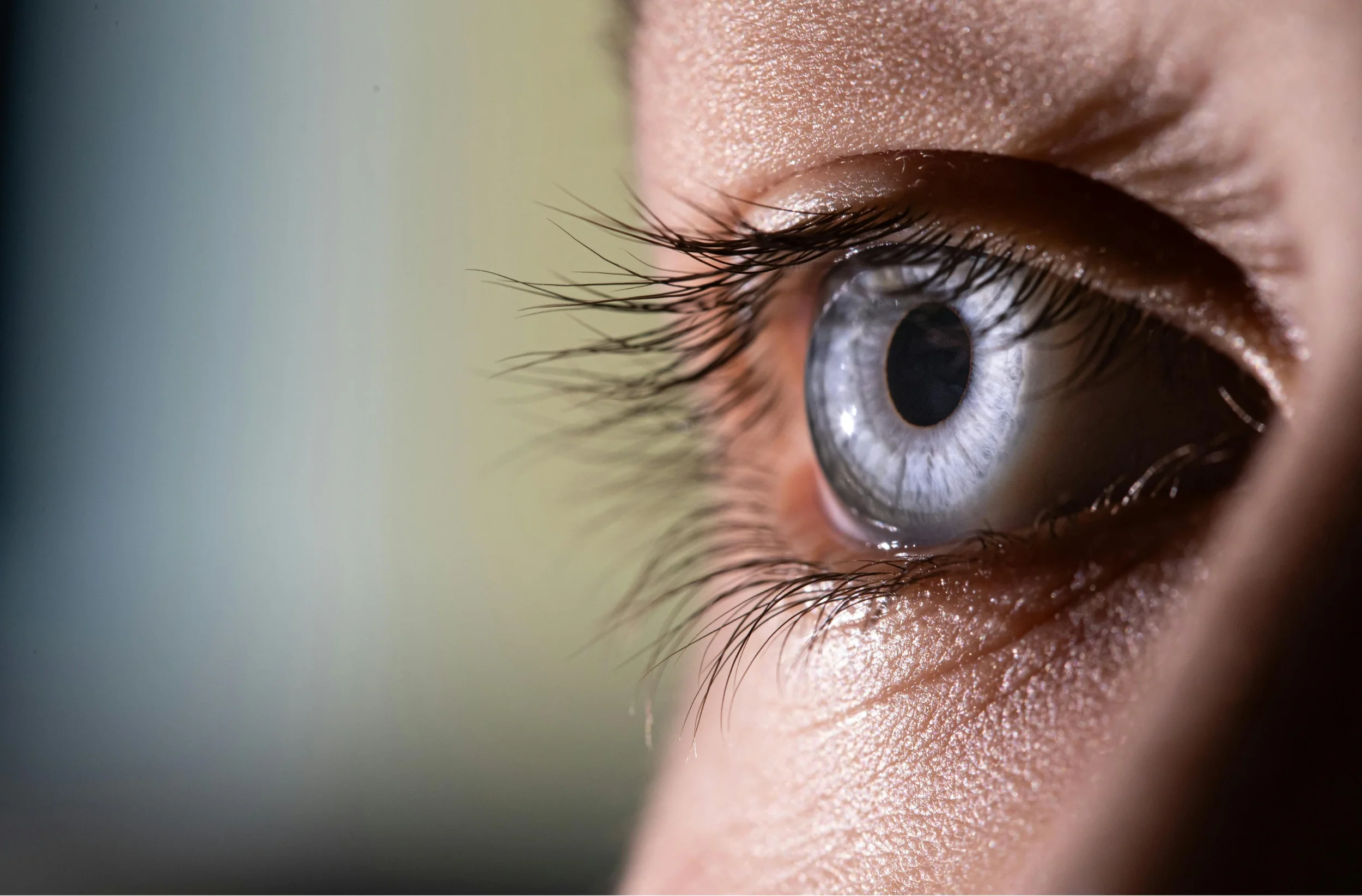 Close-up of a person's eye with detailed eyelashes and blue iris.