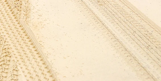 HEALTH AND WELLBEING