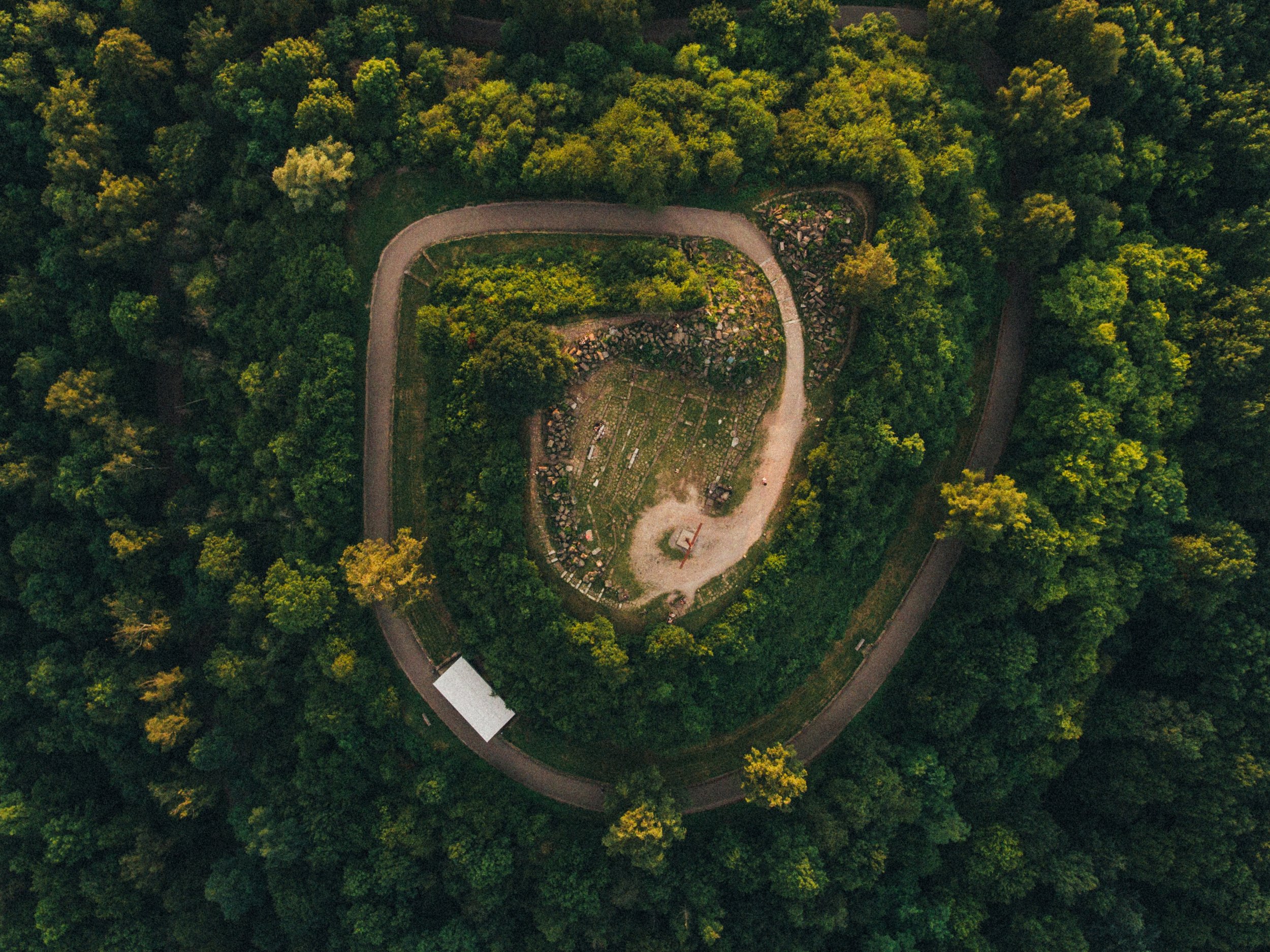 Photo by Max Böttinger on Unsplash
