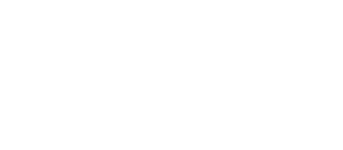 aurora@4x.png