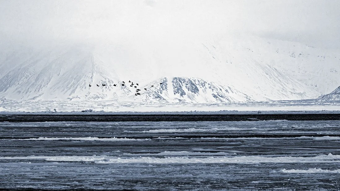 Frozen flight