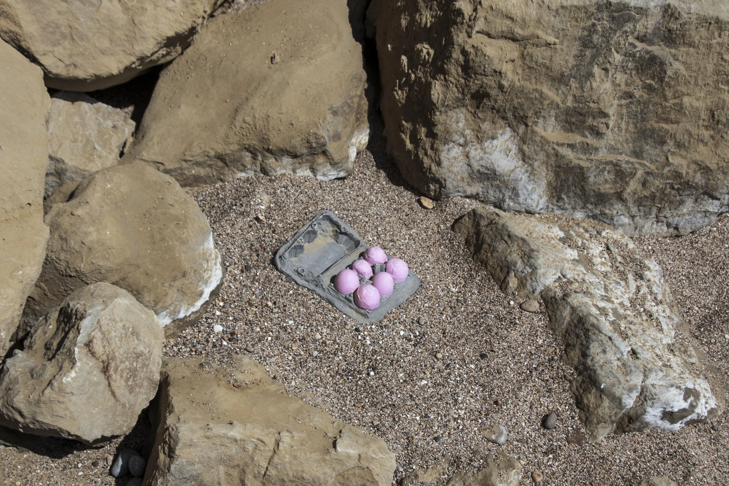 Fossil of Pink Eggs in Plastic Box Rainham Land ll Site, UK c 150 million years in future