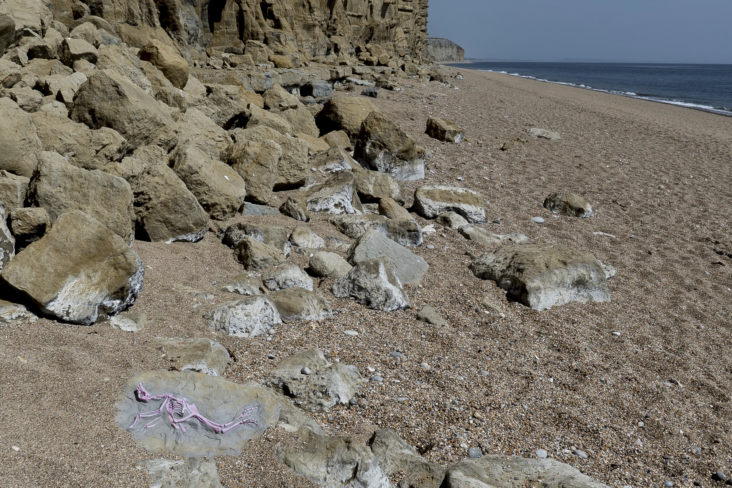 Pink Chicken Fossil Scunthorpe Poultry Processing Site, UK c 80-83 million years in future