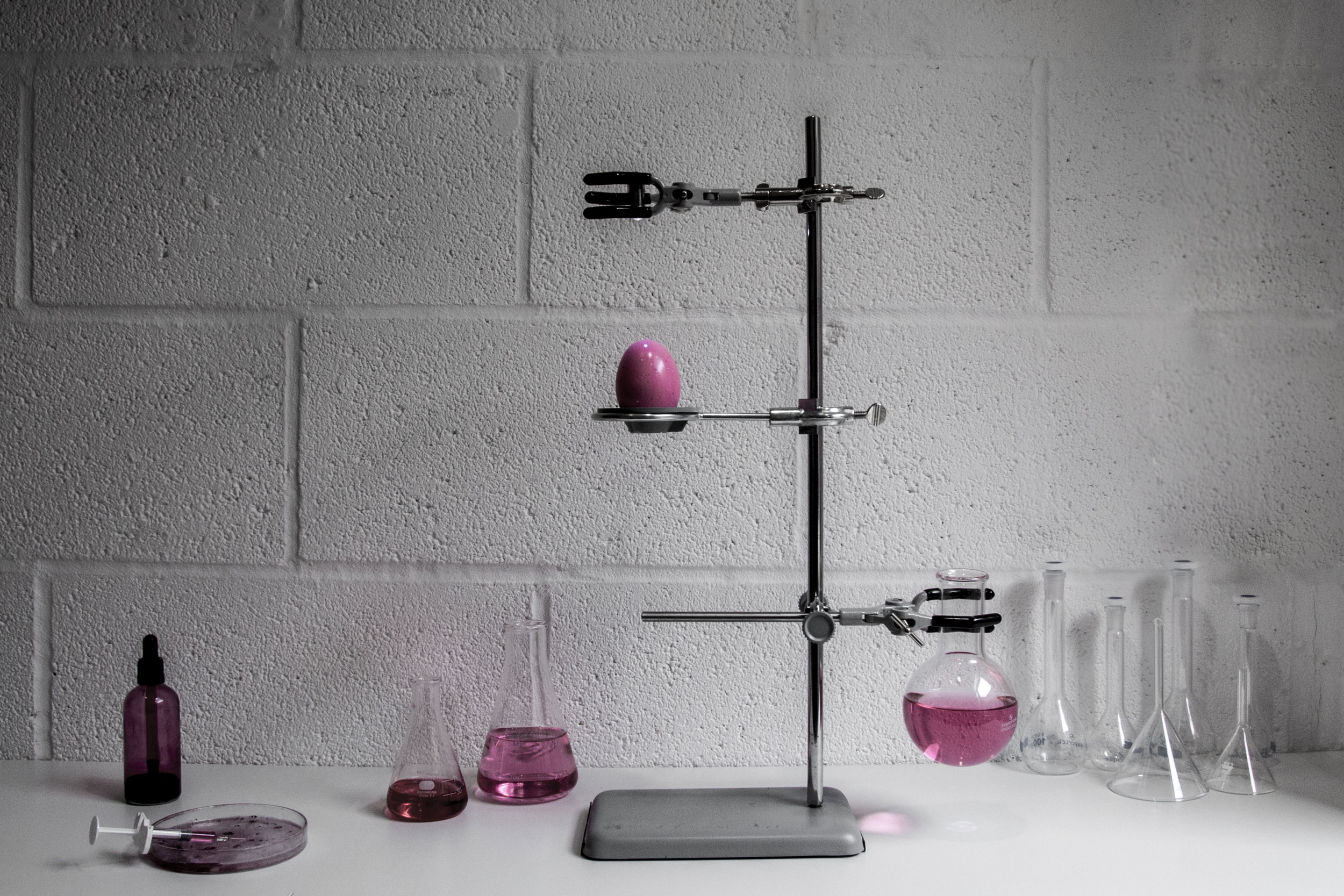 Pink Egg in BioLab