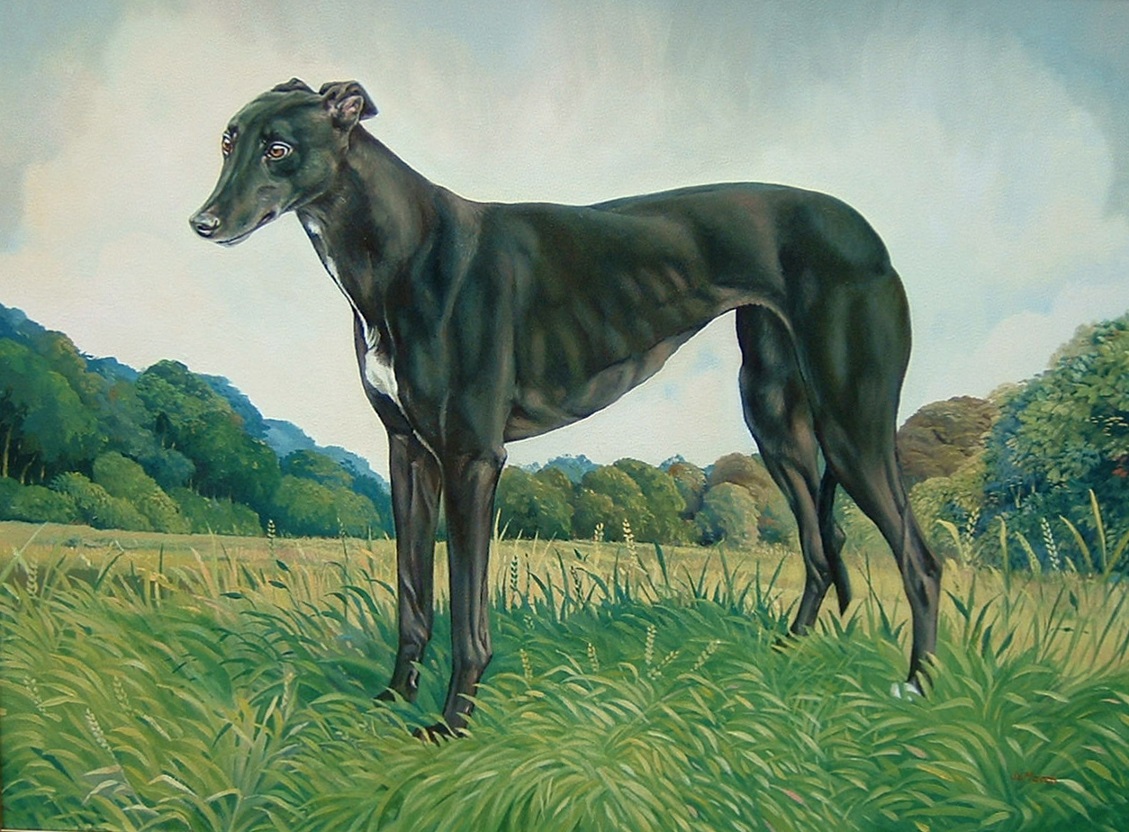 Farloe Verdict