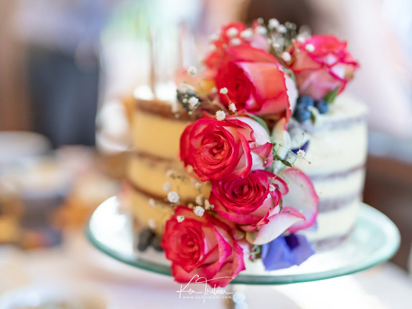 Ken Treloar Photography - Special Events Photo Session - Cape Town Dec 2018-3.jpg