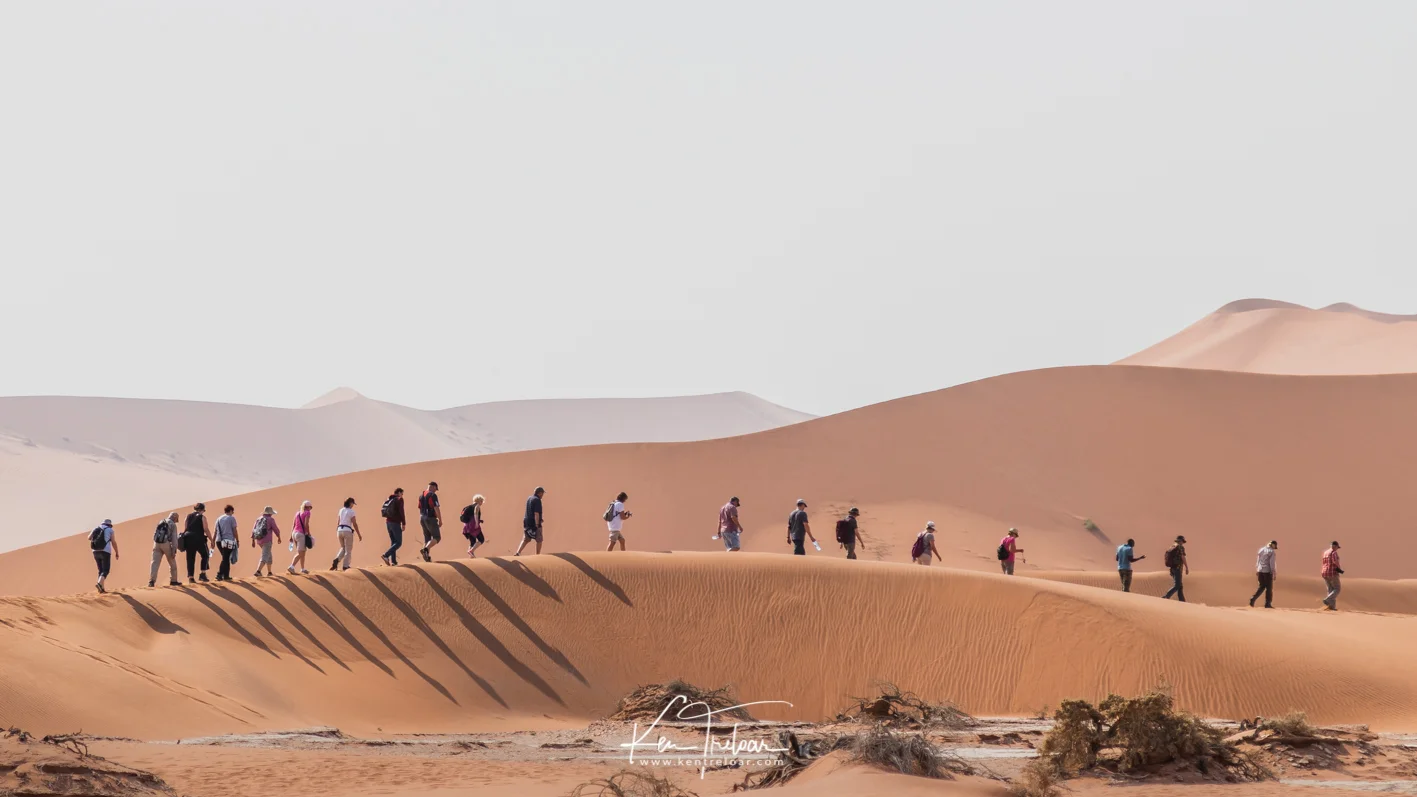The Caravan A group of tourists make their way to Deadvlei by way of a short walk through the dunes which separate the parking area from Deadvlei proper.