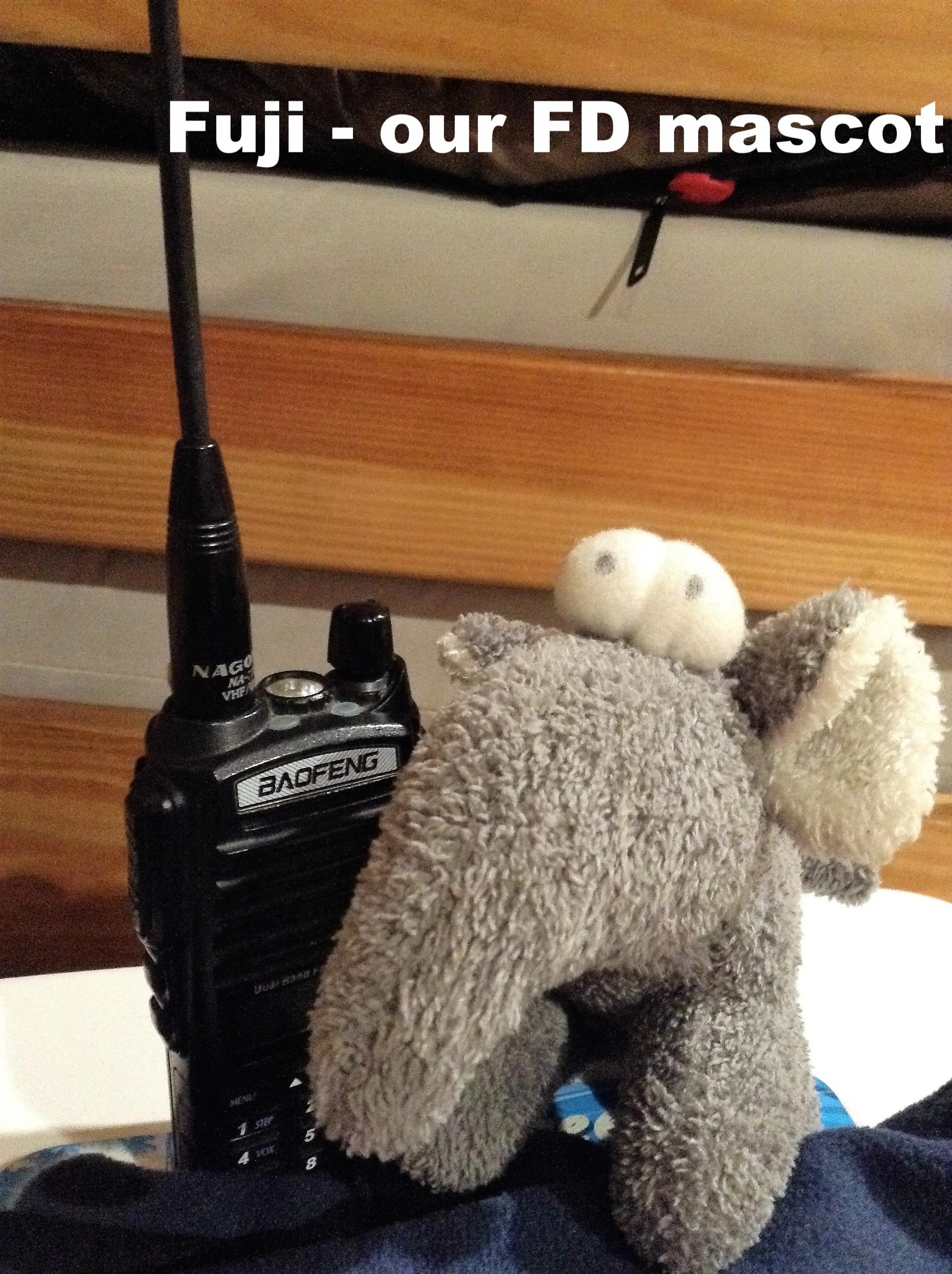 Fuji our Mascot.JPG