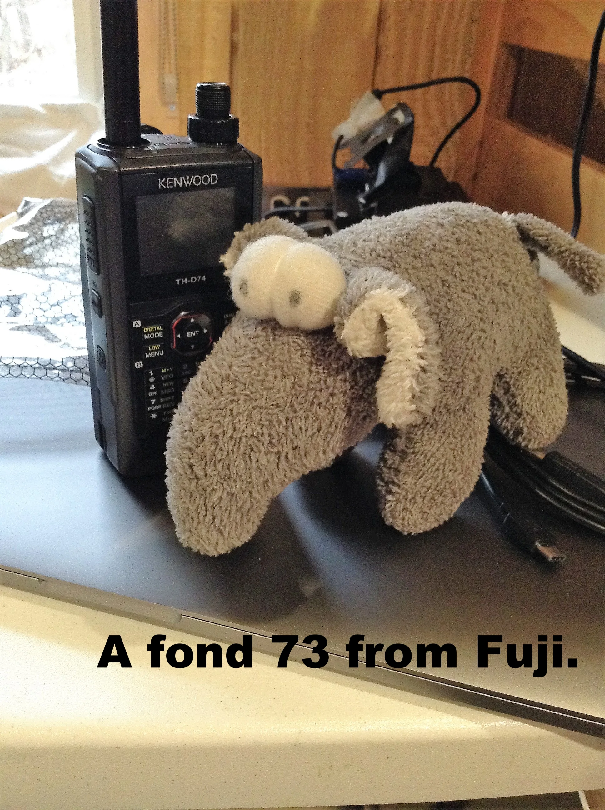 2017 wfd mascot fuji tesla.JPG