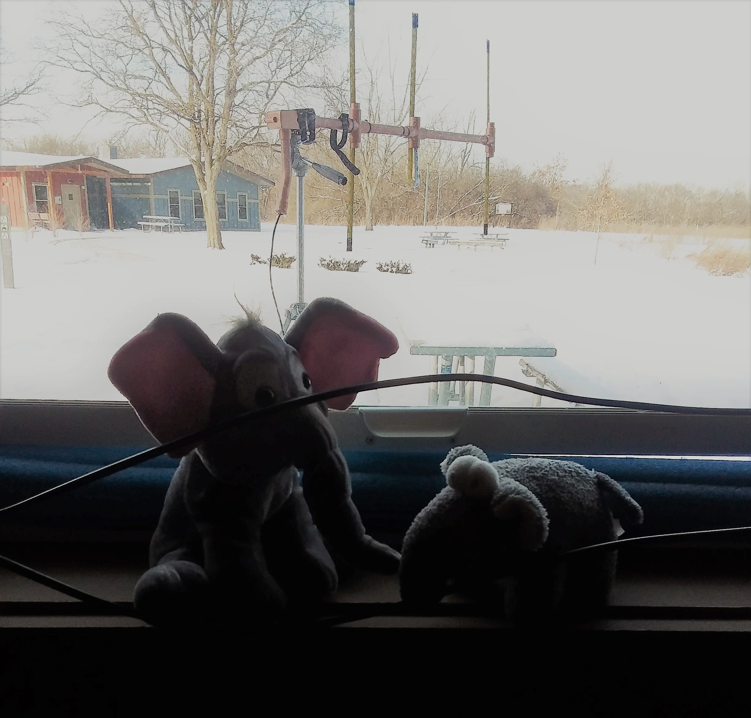 20190127_151020.jpg