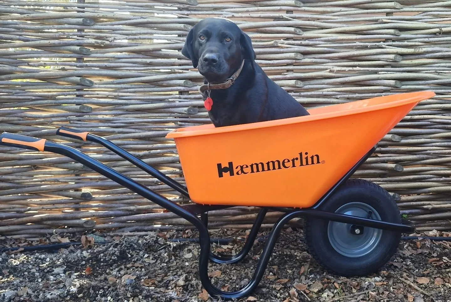 Need wheelbarrows?

Find us in Barton, Cambridge.

#shoplocal #familyrun #independent #buildersmerchant #springclean