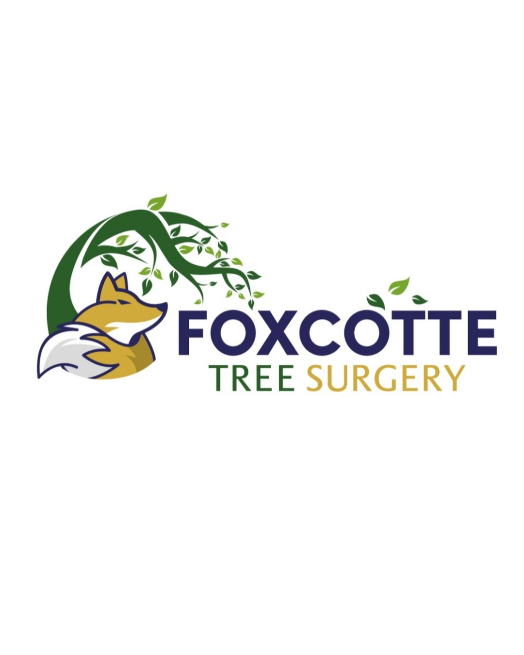FOXCOTTE TREE SURGERY
