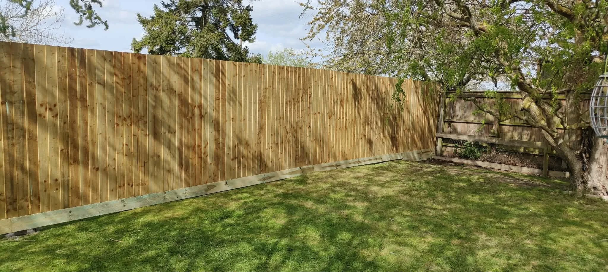 A backyard with a new wooden privacy fence and a tree with green leaves. The grass is green and well-maintained.