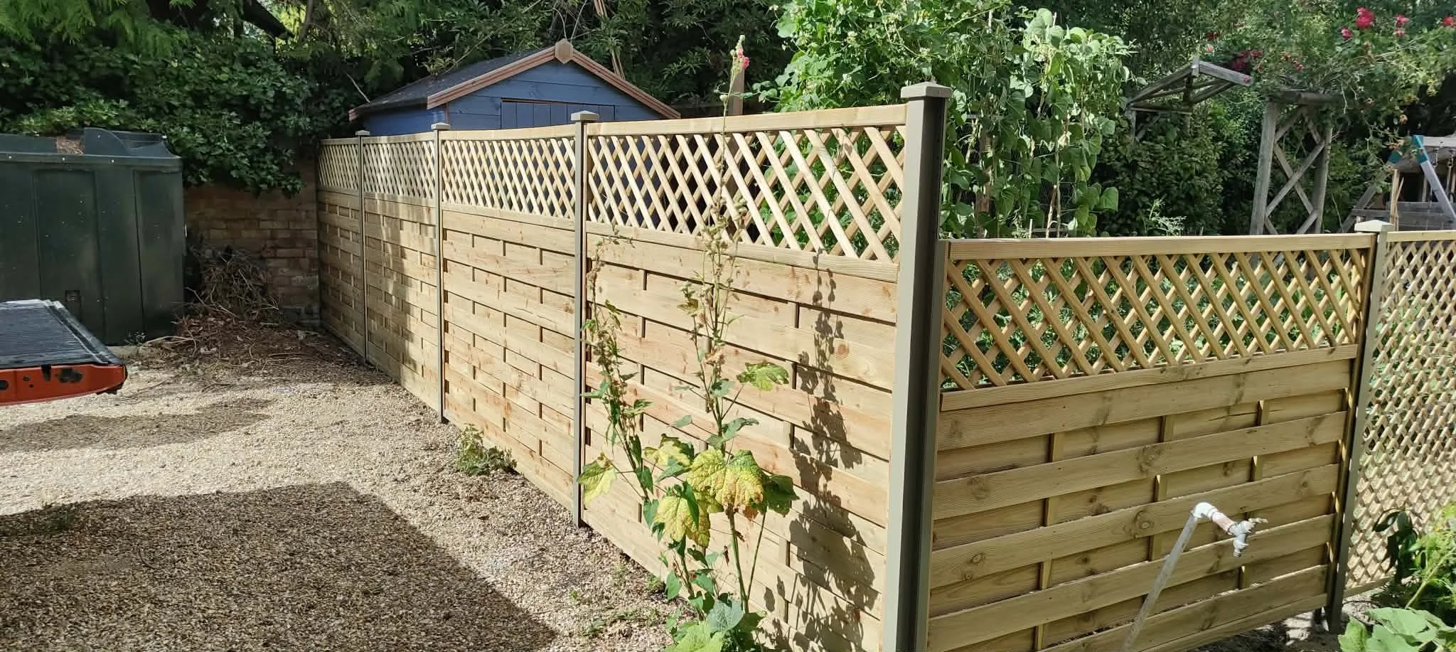 A wooden garden fence with lattice top panels surrounds a backyard area, with a small blue shed in the background, trees, and plants.
