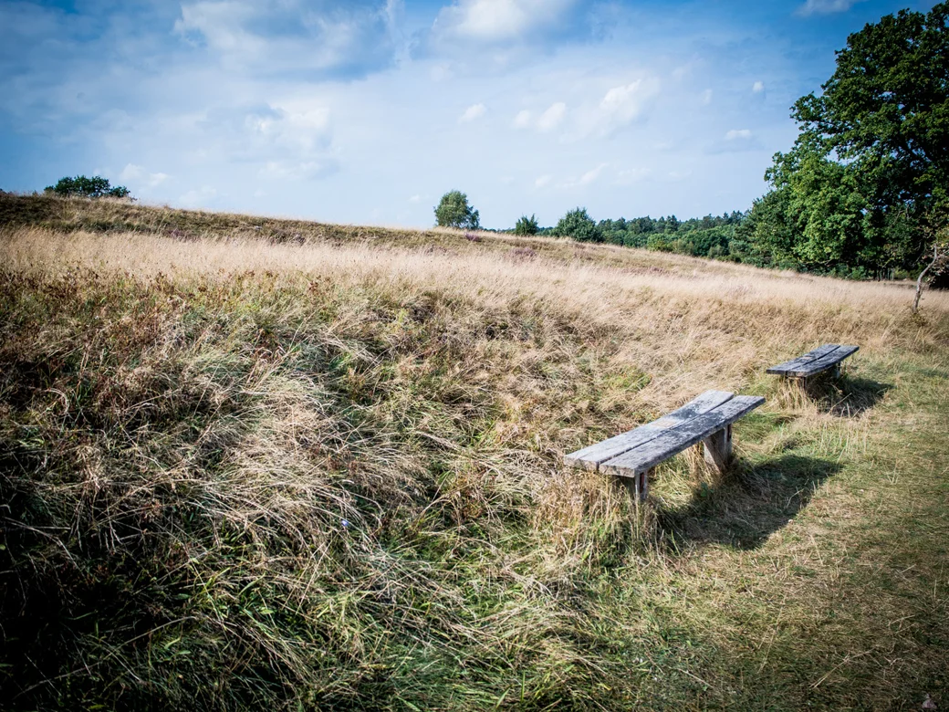 heide_05.jpg