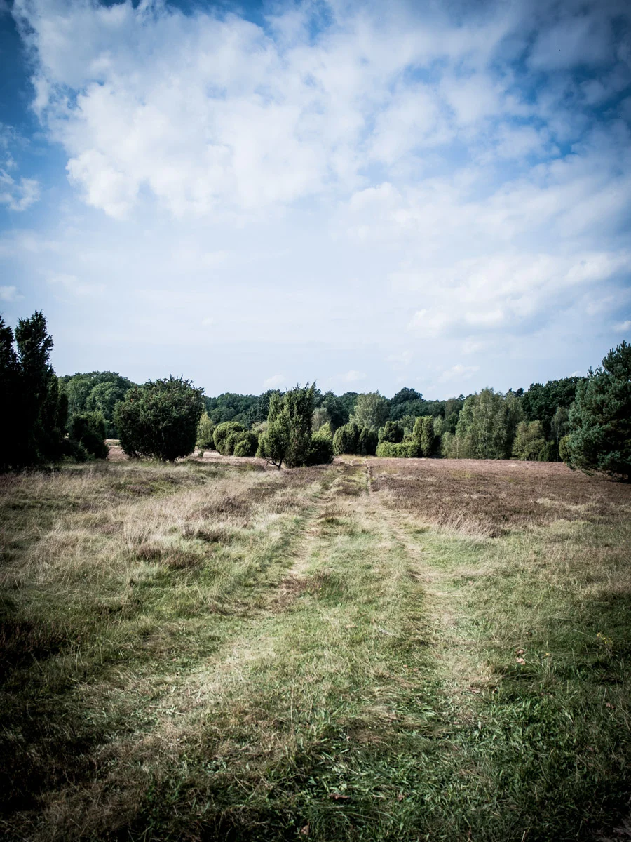 heide_06.jpg