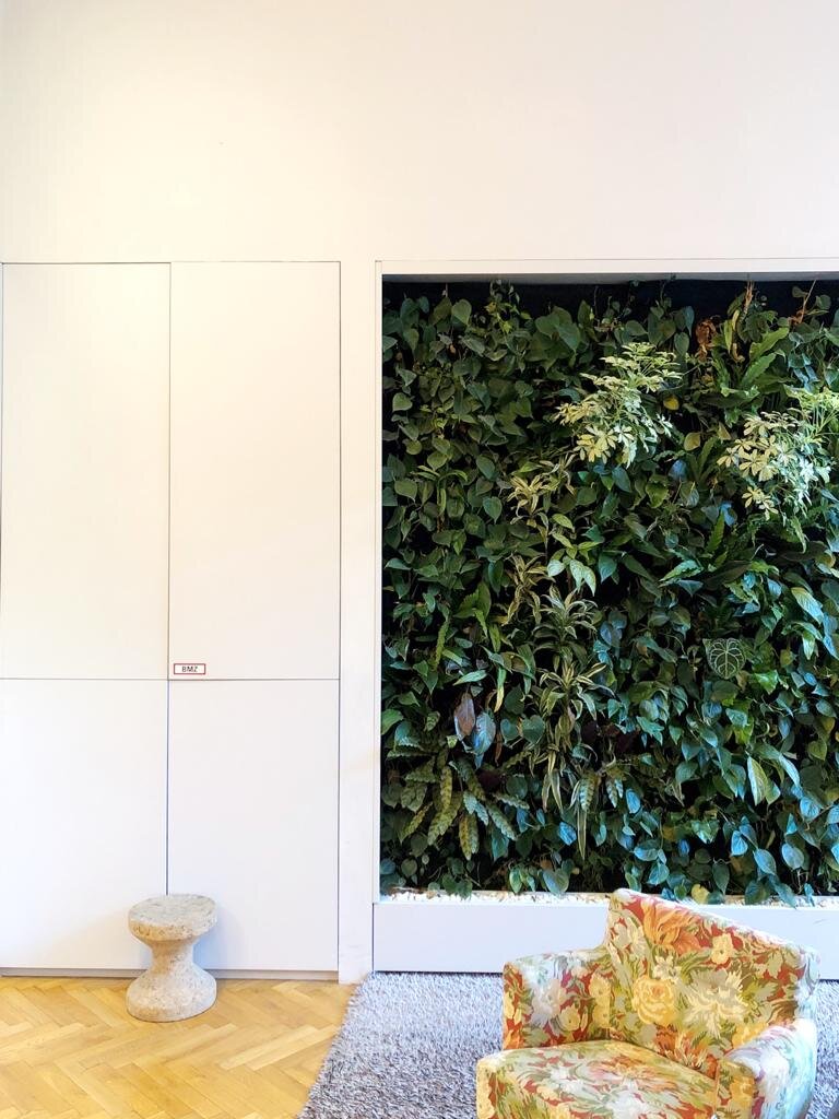 Green Wall in the reception area