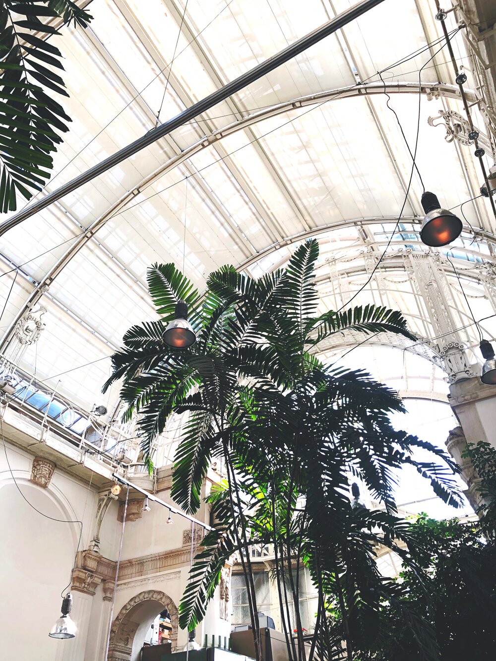 Palmenhaus Sch&ouml;nbrunn