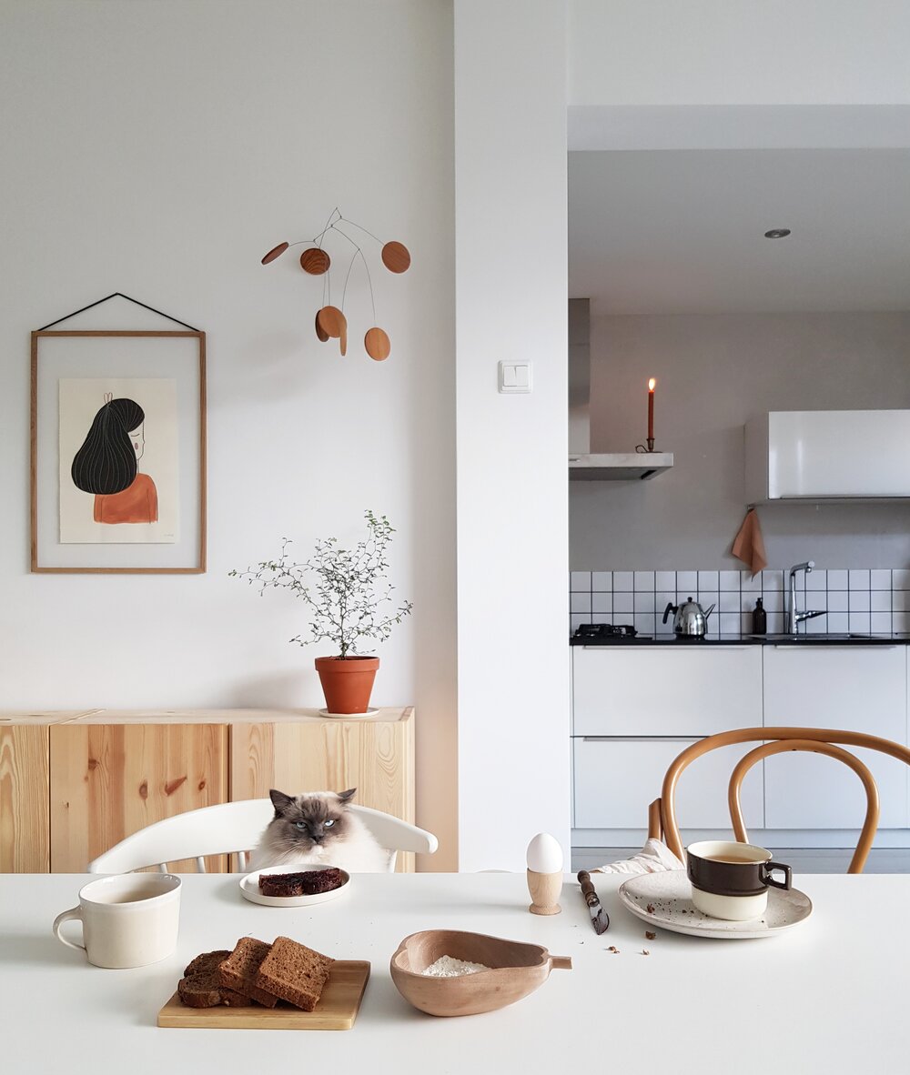 Eating space and a view of the kitchen and of Keesje the curious cat!