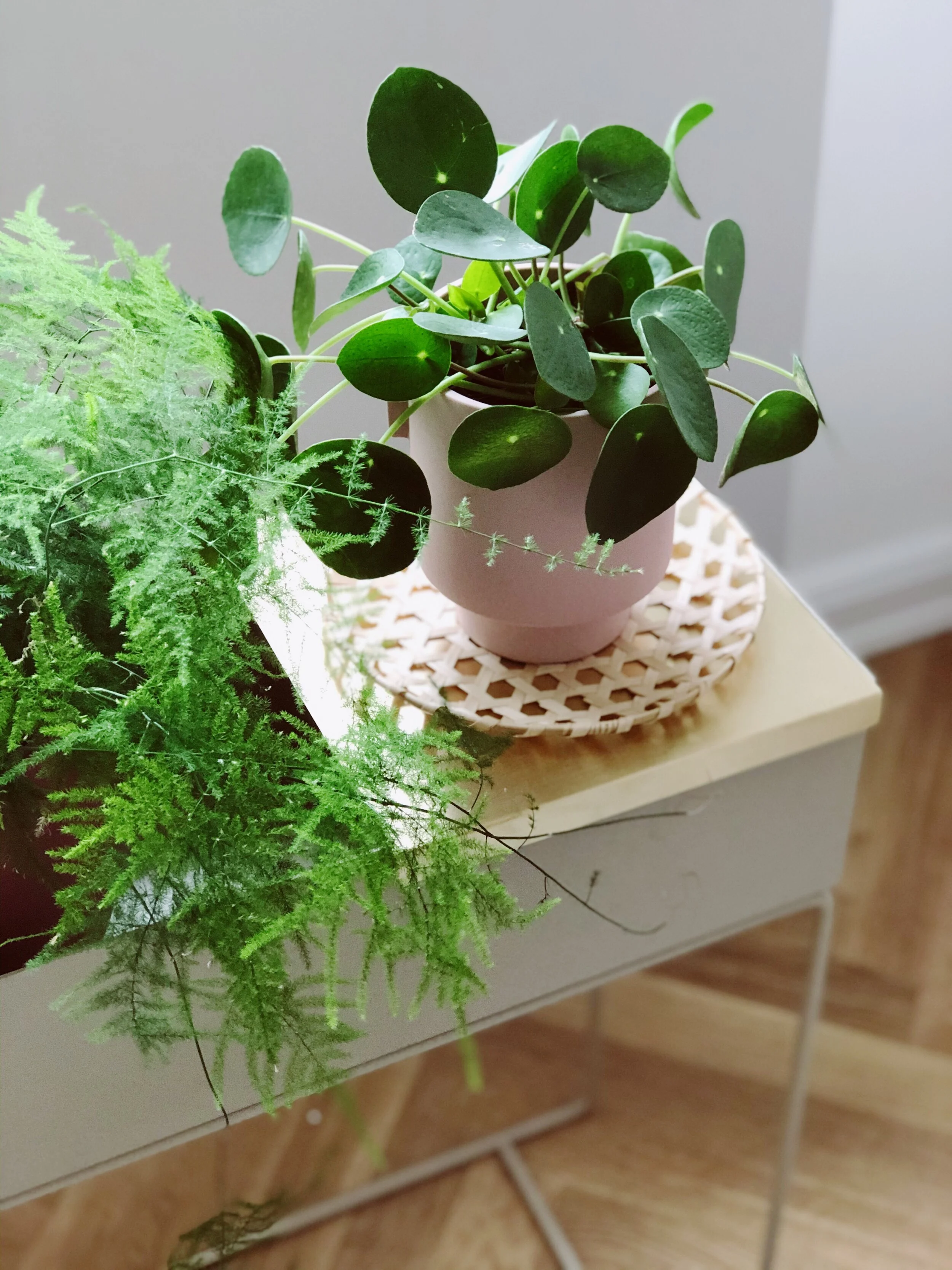 8 Ways To Create a Cozy Office + Dining Corner