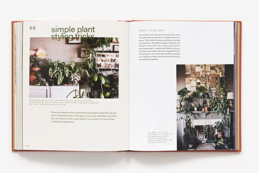 Plant Tribe Book, courtesy of Abrams Books