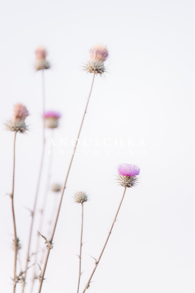 Photo: Anoushka Rokebrand